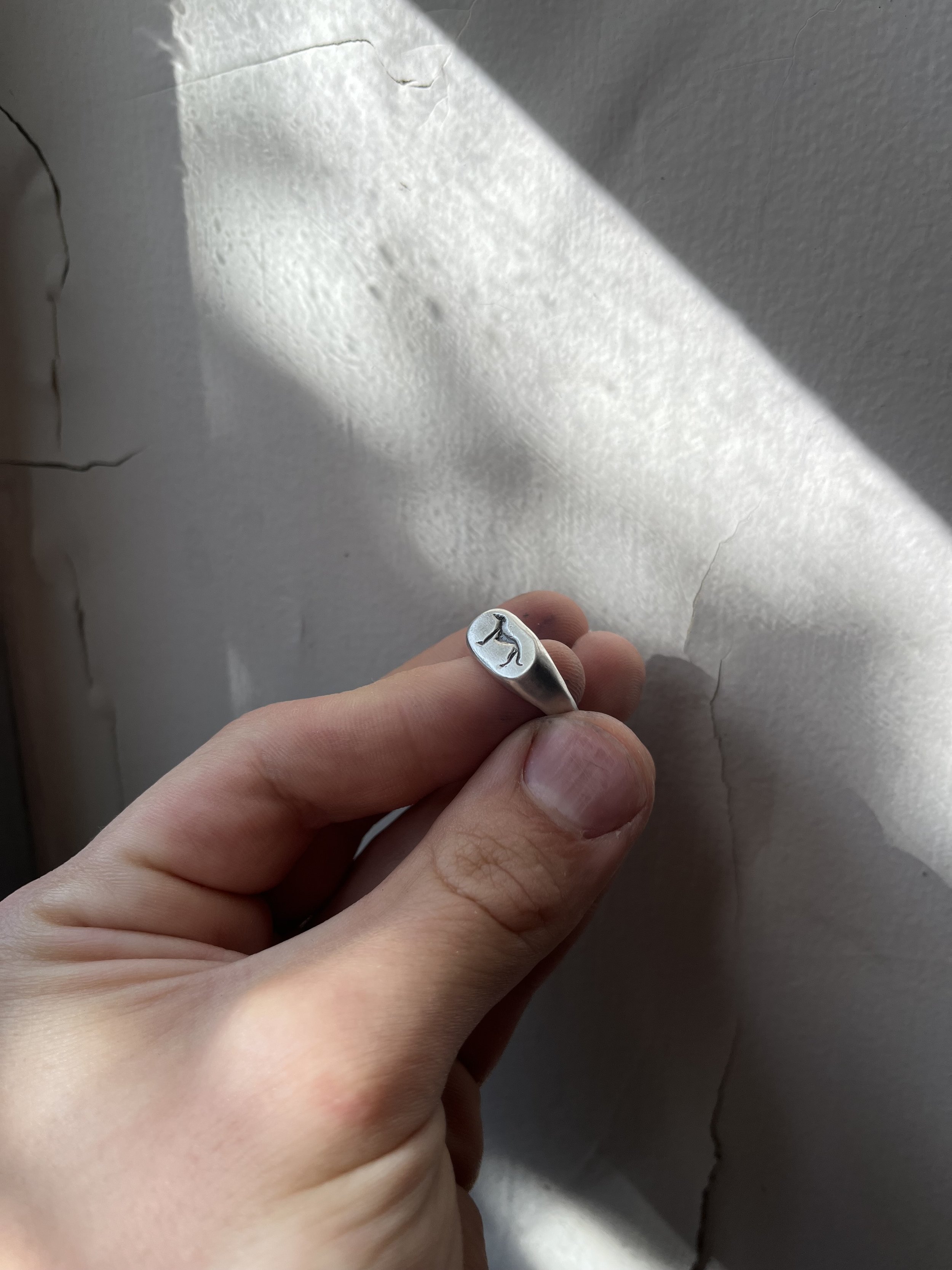 IMG_0721.jpeg