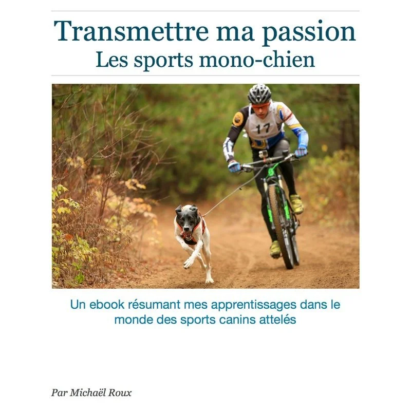 Ebook : Transmettre ma passion