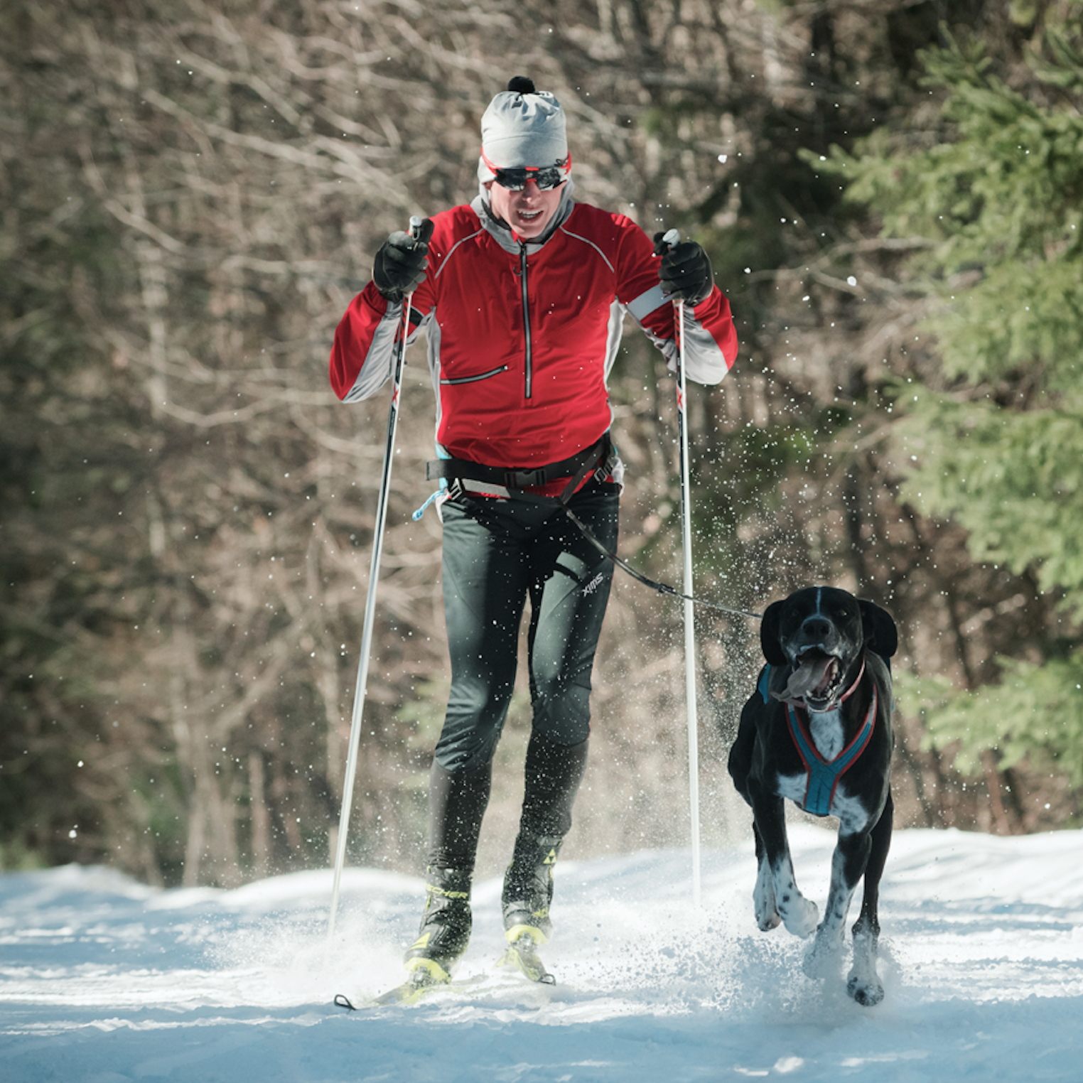Vidéo consultation pour choisir le bon équipement de skis de fond