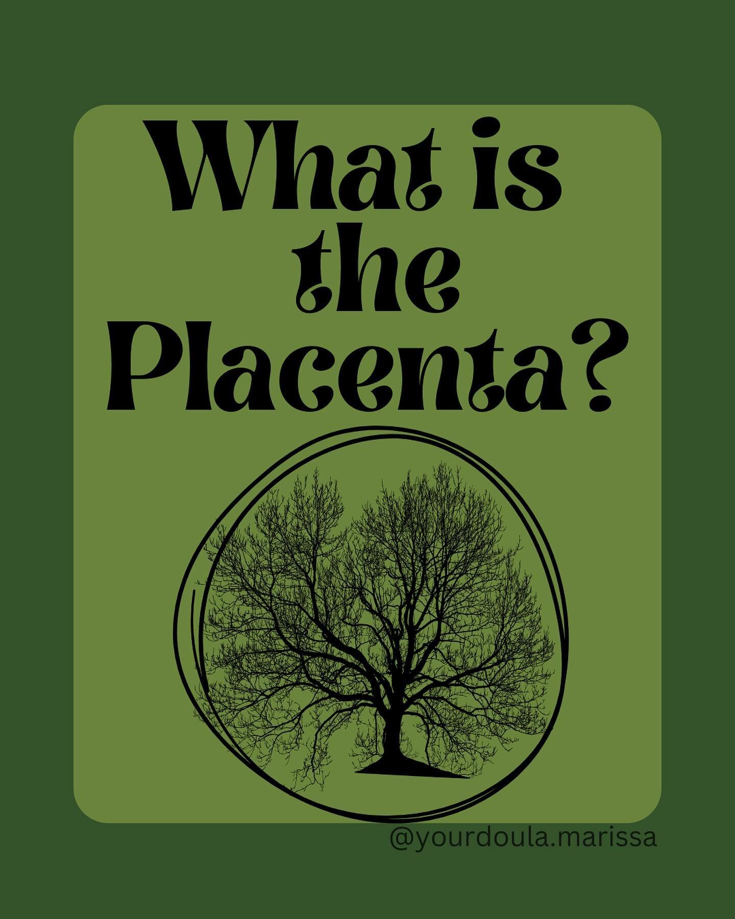 What is the placenta? Only the coolest organ ever!! 
It&rsquo;s the only organ that the body develops completely from scratch and then expels of after it&rsquo;s done it job. 

✨It&rsquo;s more than just &ldquo;medical waste&rdquo;. 
✨It supported li