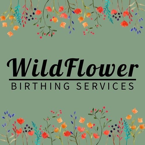 Wildflower Birthing Services is booking for 2024! 

My website is in the works, there all my package details for doula work and placenta encapsulation will be laid out. In the meantime send me a message @yourdoula.marissa or email me 😊

#houstondoul