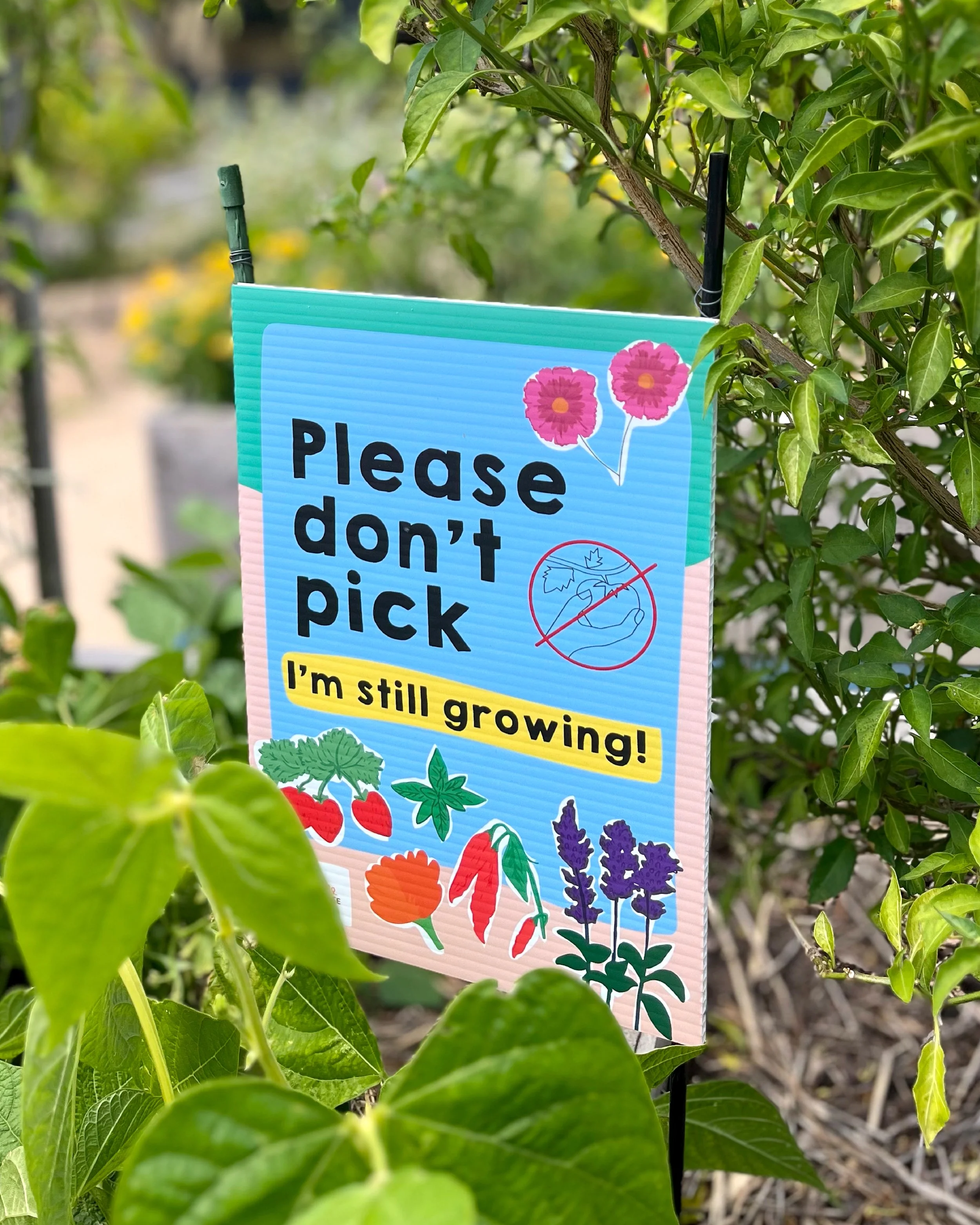 Please don't pick sign created for a community garden
