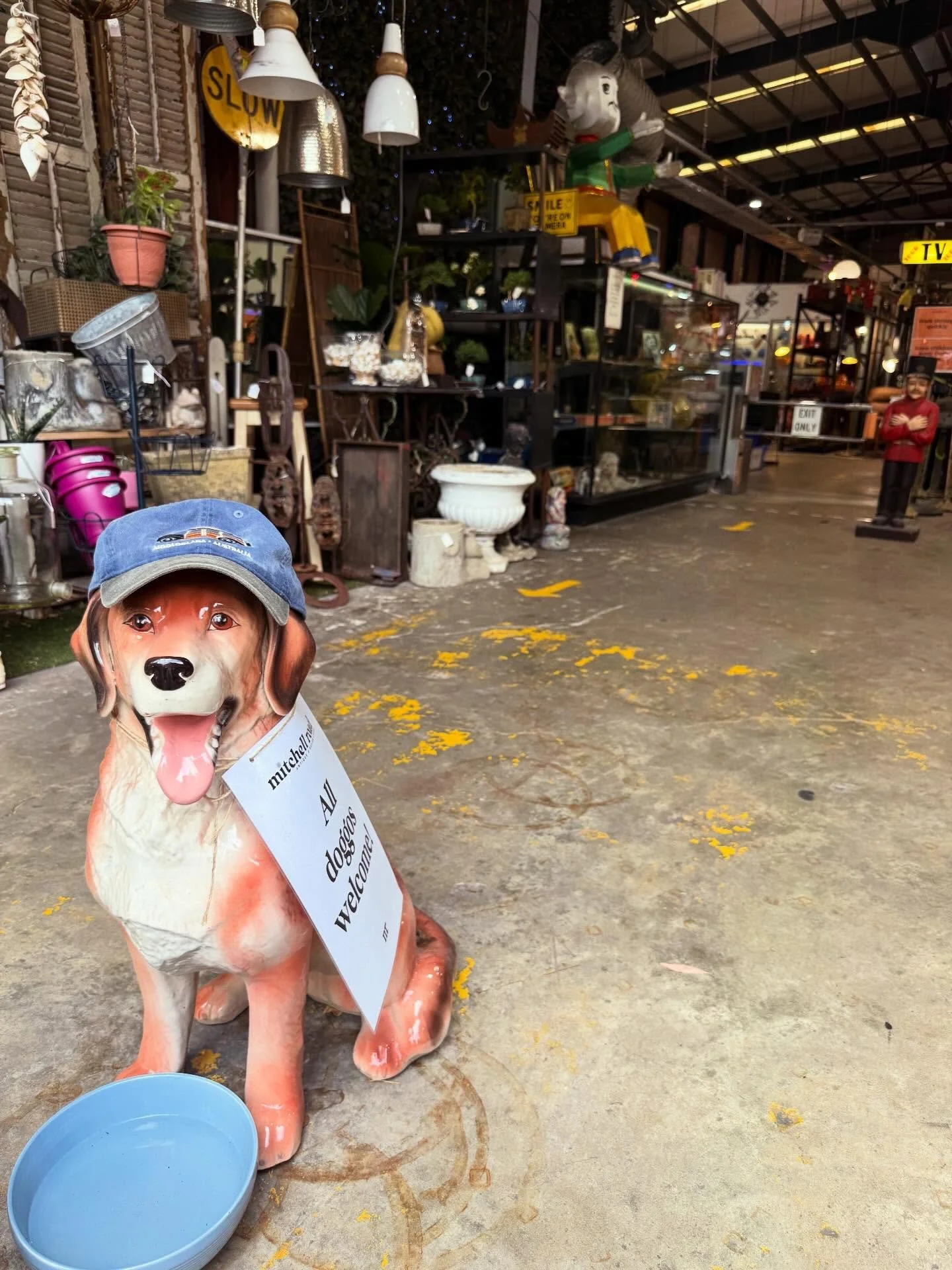 Our isles are great for taking your best friend on a walk, in the shade and out of the heat of the sun, and lots to look at!  #mansbestfriend🐶 #dogs #vintage #sydney #antiques #shopping #ceramic