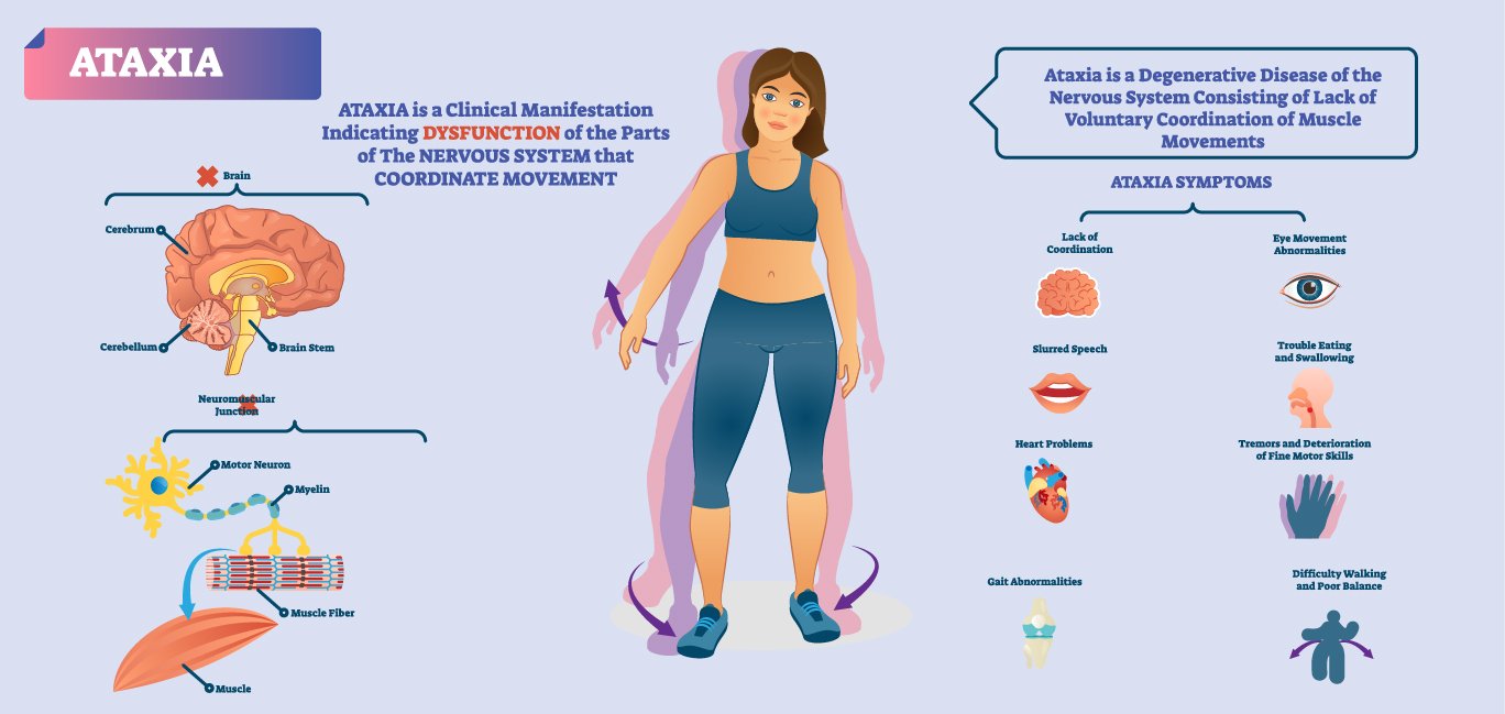 What is Spinocerebellar Ataxia (SCA)? — Full Circle Wellness
