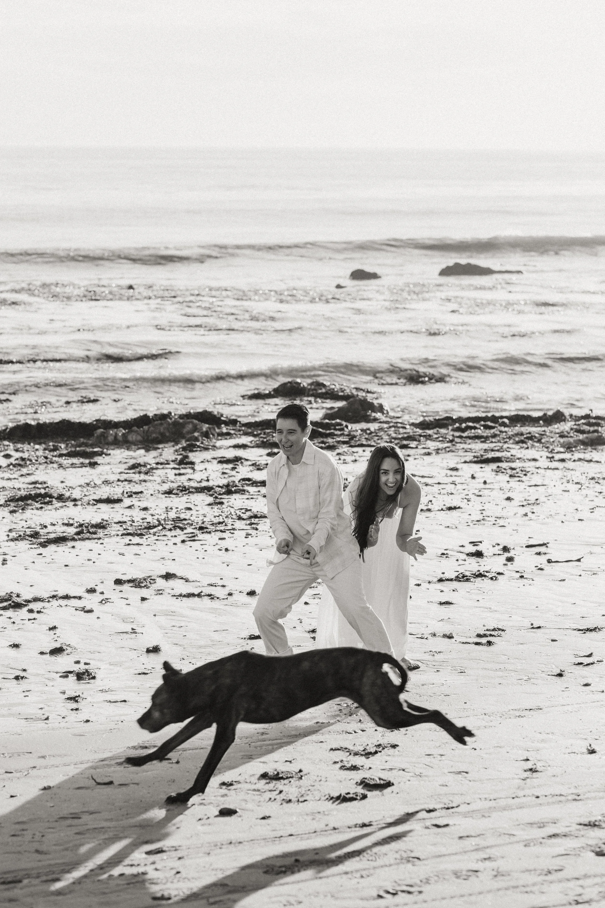 Couple walking on the beach as their dog runs past