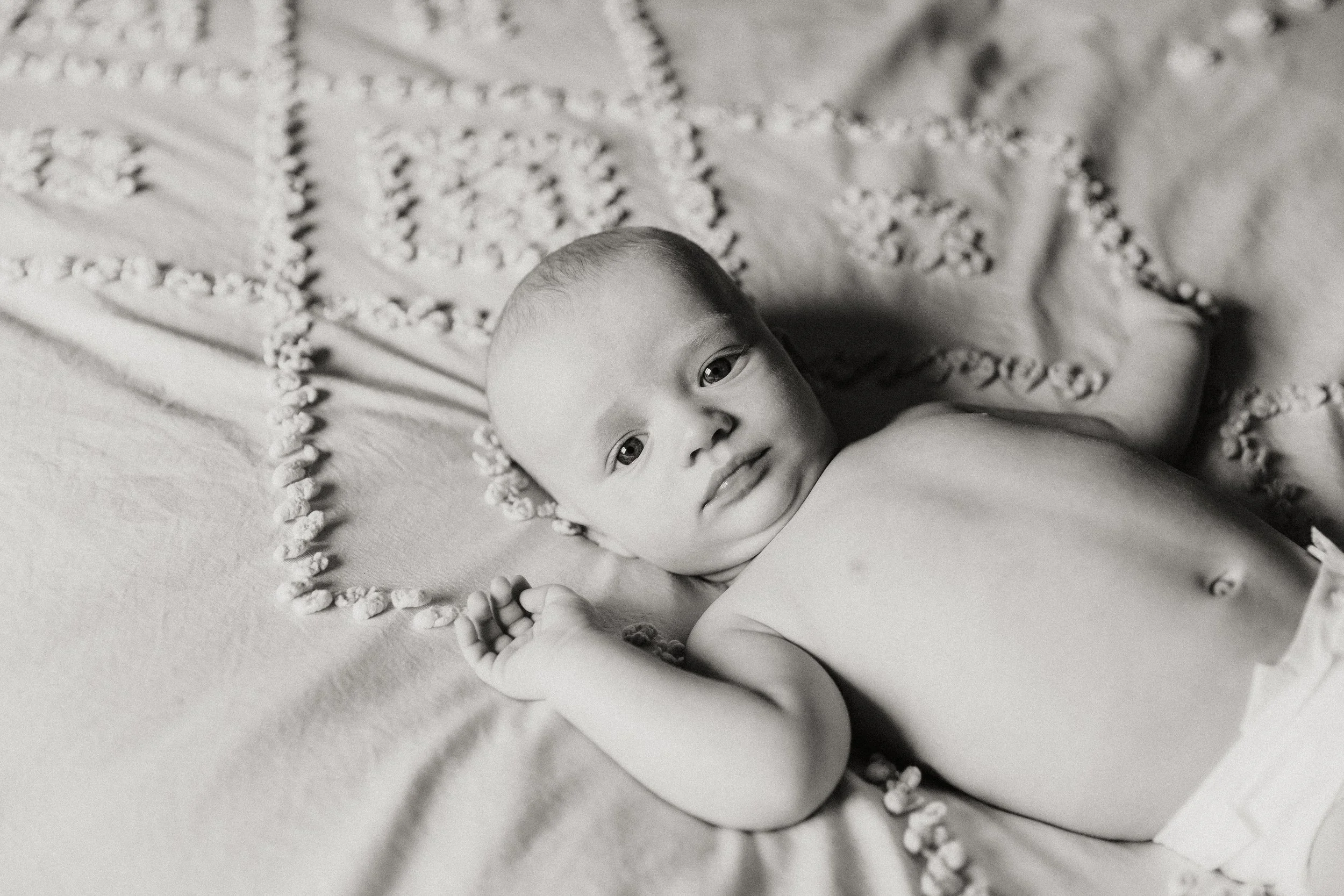 Black and white portrait of a newborn baby lying on a knit blanket