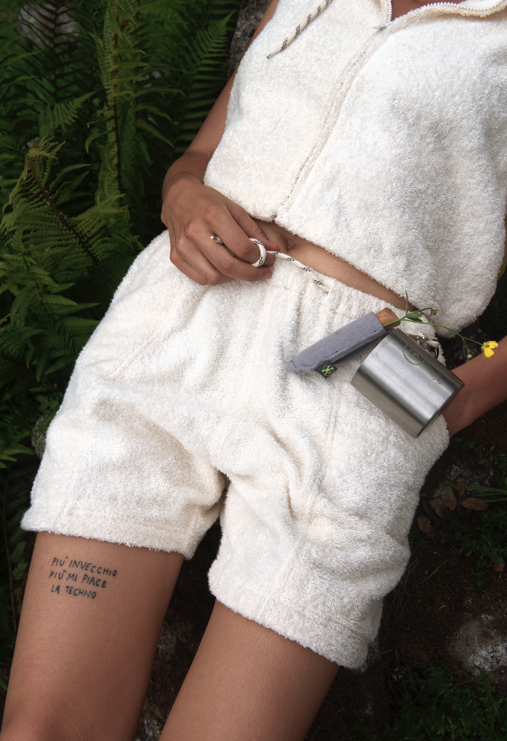 Bermuda linea spugna