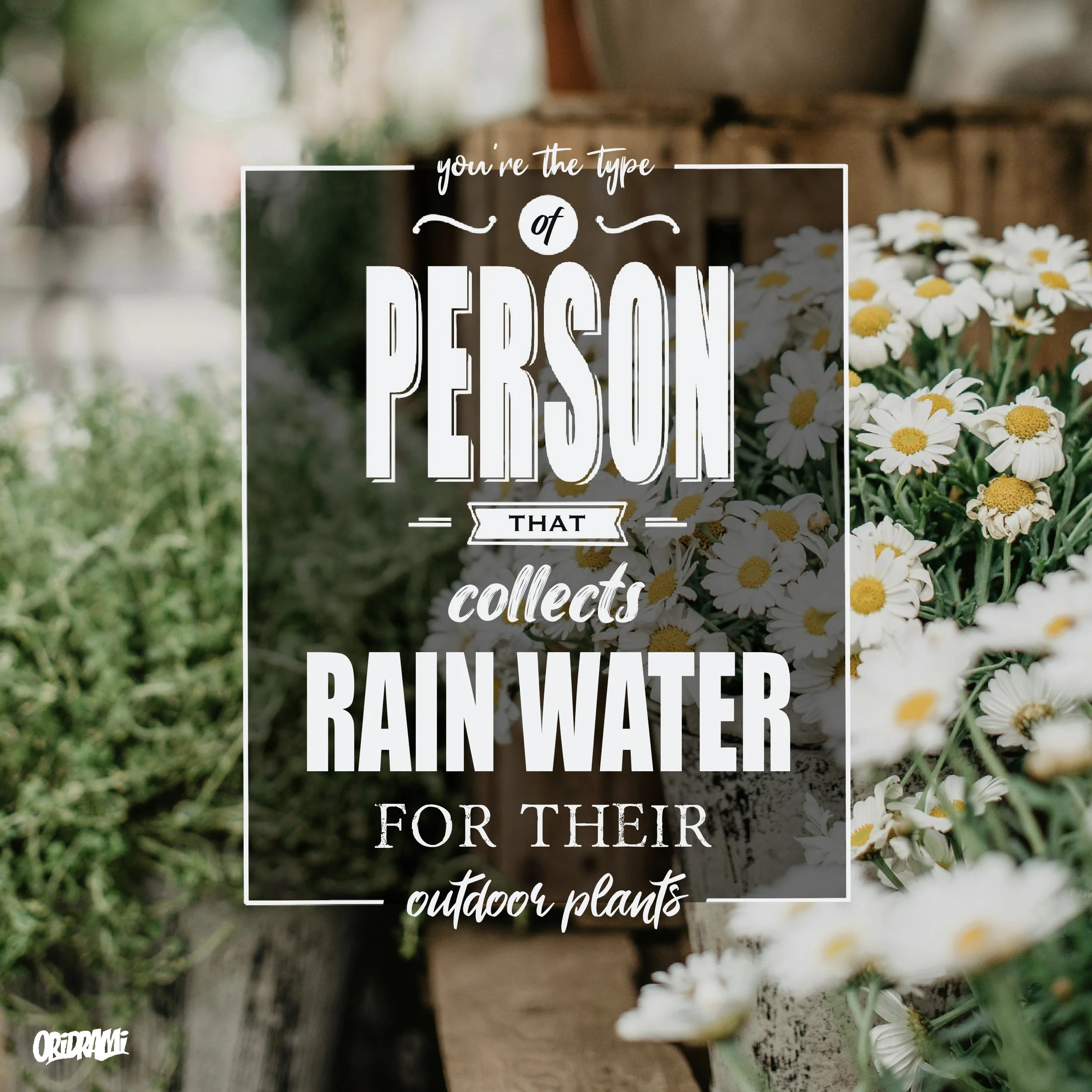 Untitled_Artwork 39.jpeg