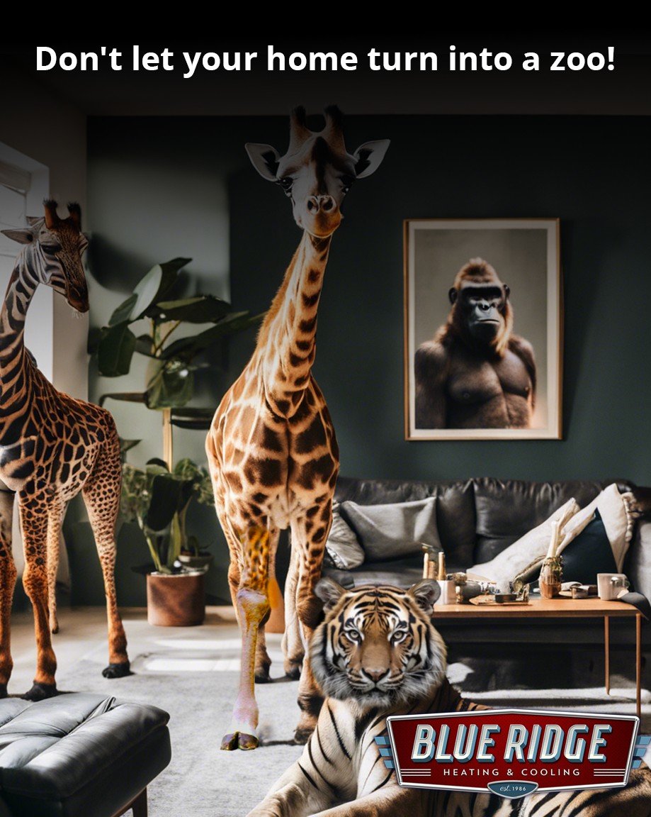 National Zoo Lovers Day! Don't let your home turn into a zoo! Keep it comfortable with regular HVAC maintenance from Blue Ridge Heating &amp; Cooling. Trust the experts! #zooloversday #hvacmaintenance