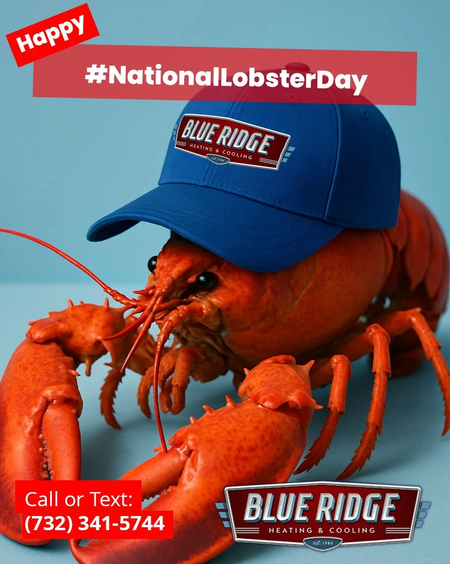 Crack into comfort&mdash;it&rsquo;s #NationalLobsterDay! 🦞 However you serve it, enjoy your seafood feast in a perfectly climate-controlled home with Blue Ridge HVAC. ❄️🔥 #BlueRidgeCares