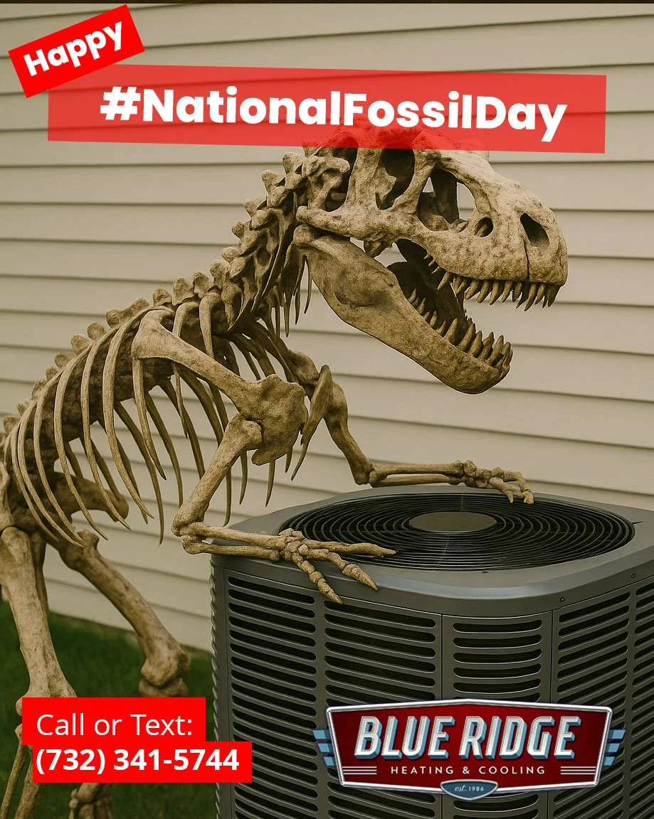 Don&rsquo;t let your HVAC system become a fossil. 🦴 Keep it running efficiently with regular maintenance from Blueridge HVAC. Happy #NationalFossilDay! ❄️🔥 #BlueRidgeCares #HVACLife