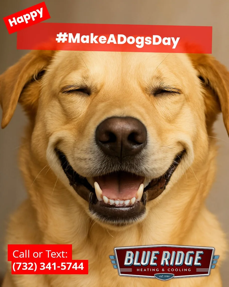 🐾 It&rsquo;s #MakeADogsDay! Nothing makes your pup happier than a cozy home to nap in. Keep tails wagging with reliable comfort from Blueridge HVAC. ❄️🔥 #BlueRidgeCares #HVACLife