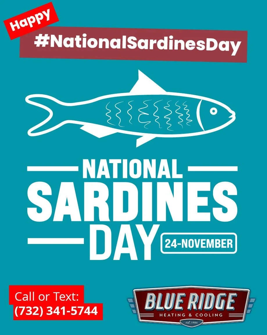 #NationalSardinesDay &ndash; odd food day? Sure. But your HVAC should never be odd. Reliable service = no surprises. #BlueRidgeHVAC