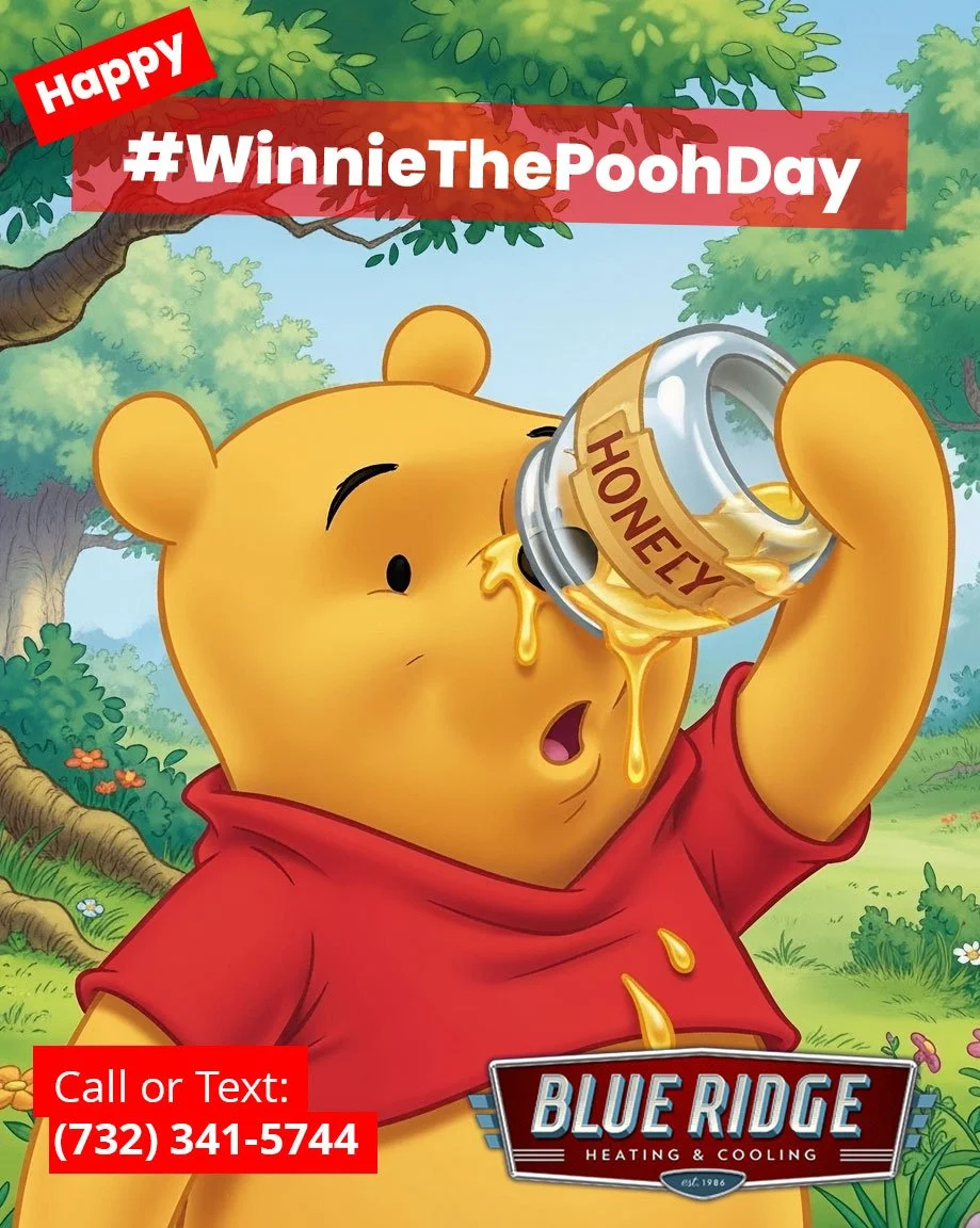 Cold days call for cozy homes and honey-sweet comfort. 🍯
 #WinnieThePoohDay #WinterComfort #BlueRidgeHVAC