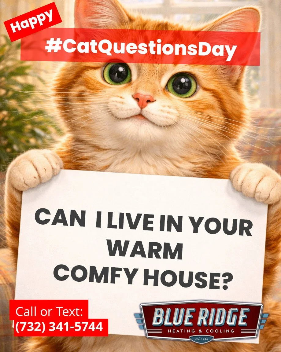 Yes, your cat does deserve a perfectly heated home. 😼
 #CatQuestionsDay #PetComfort #HVACLife