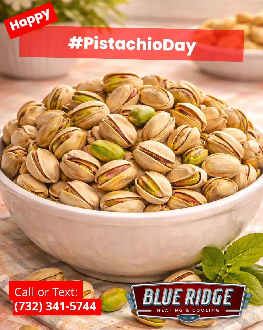Crack into comfort today! 🥜 Blue Ridge HVAC &mdash; a nut above the rest in service. #PistachioDay