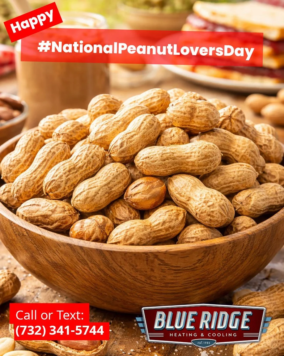 Whether you love them roasted, salted, or in a classic PB&amp;J&hellip; today&rsquo;s for the peanut fans! And just like peanuts, your HVAC system works best when everything&rsquo;s running smoothly. Don&rsquo;t let small issues turn into big crunche
