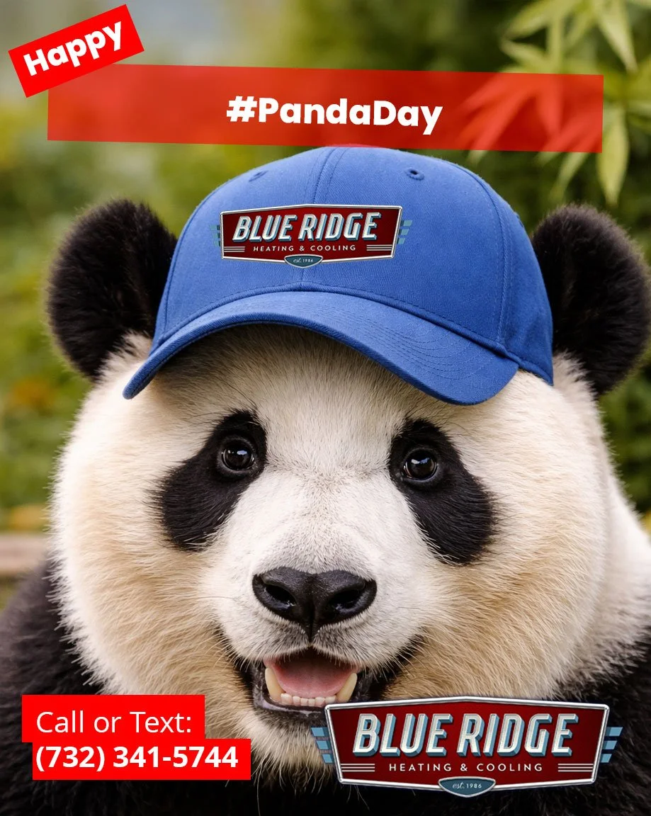 Your HVAC shouldn&rsquo;t be black and white. Comfort should be perfectly balanced. 🐼
 Call Blue Ridge for system upgrades. #PandaDay #BalancedComfort
