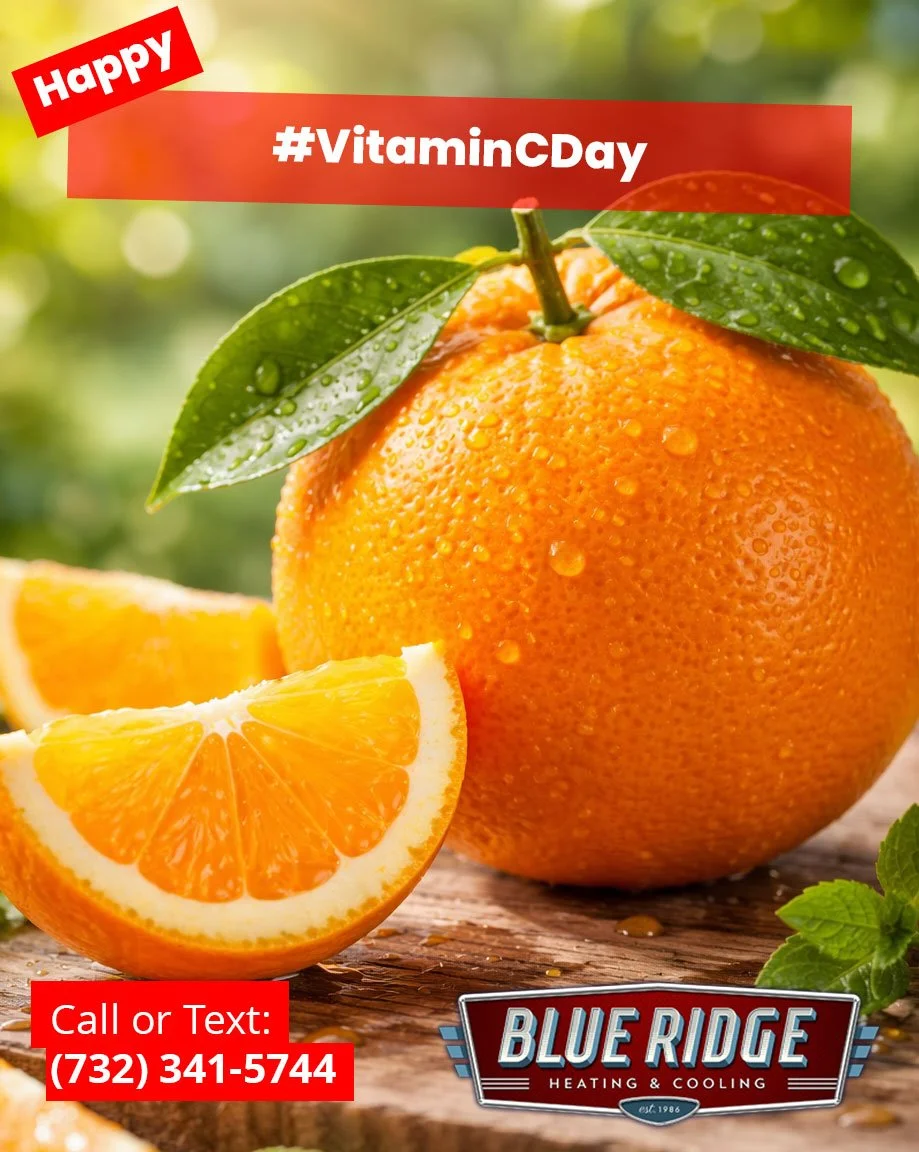 Happy National Vitamin C Day! Just like Vitamin C keeps you feeling your best, regular HVAC maintenance keeps your home running at peak performance.#NationalVitaminCDay #HealthyHome #HVACTips #HomeComfort #BlueRidgeHVAC #NJHVAC