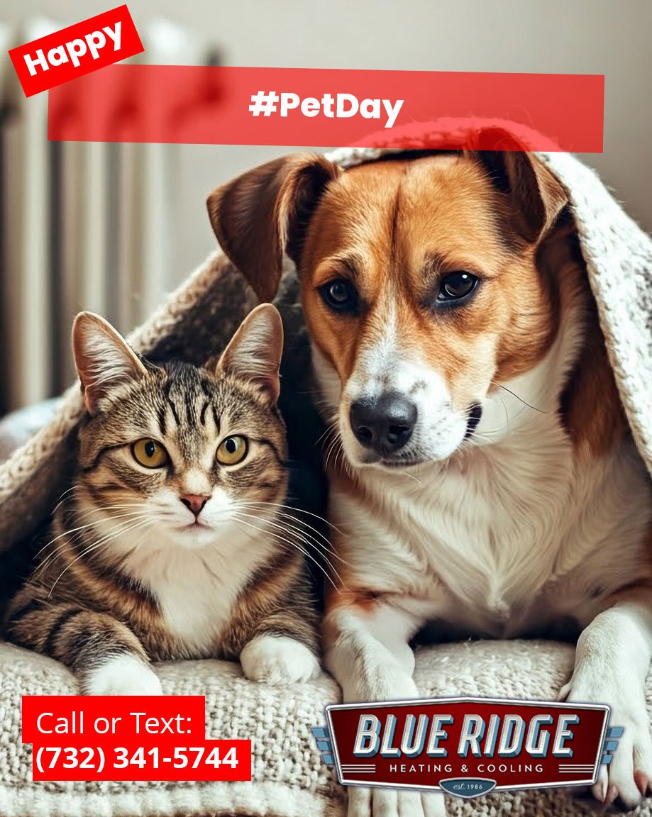 Your pets deserve comfort too 🐾 Keep your home perfectly climate-controlled for the whole family. #PetDay #HomeComfort