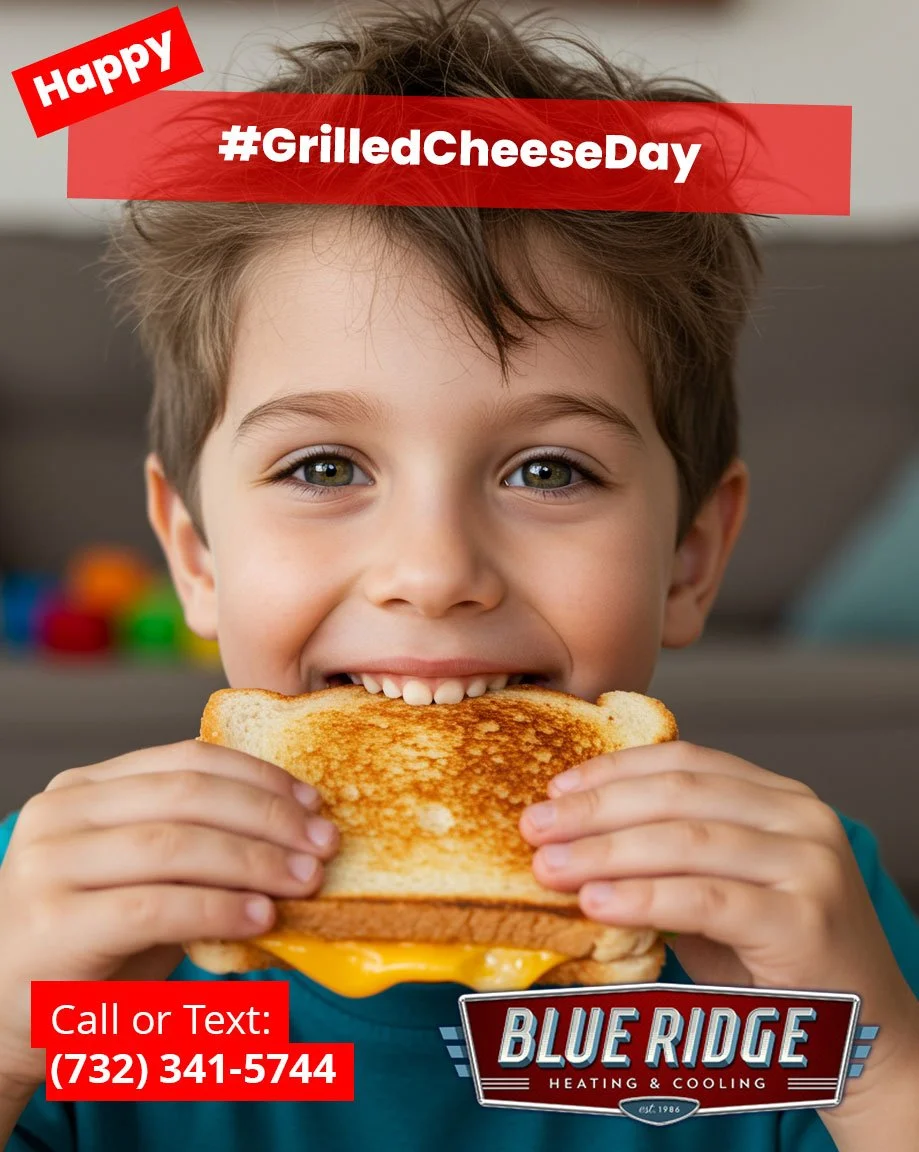 It's National Grilled Cheese Day! Warm, toasty, and just right 🧀 That&rsquo;s how your home should feel. #ComfortGoals #BlueRidgeHVAC #GrilledCheeseDay