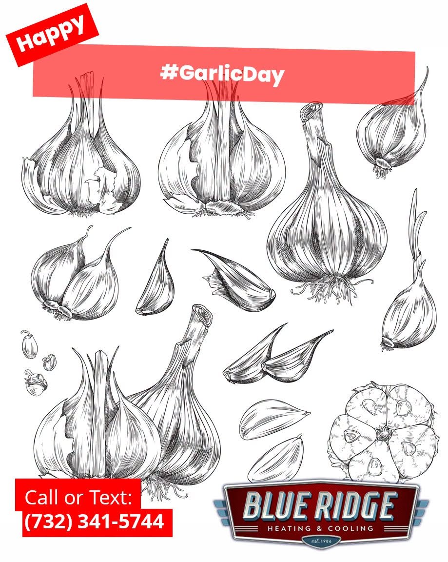 It's National Garlic Day! If your system smells funky&hellip; it&rsquo;s not dinner 🧄
 Let&rsquo;s fix that air quality. #IndoorAirQuality #HVACTips #GarlicDay
