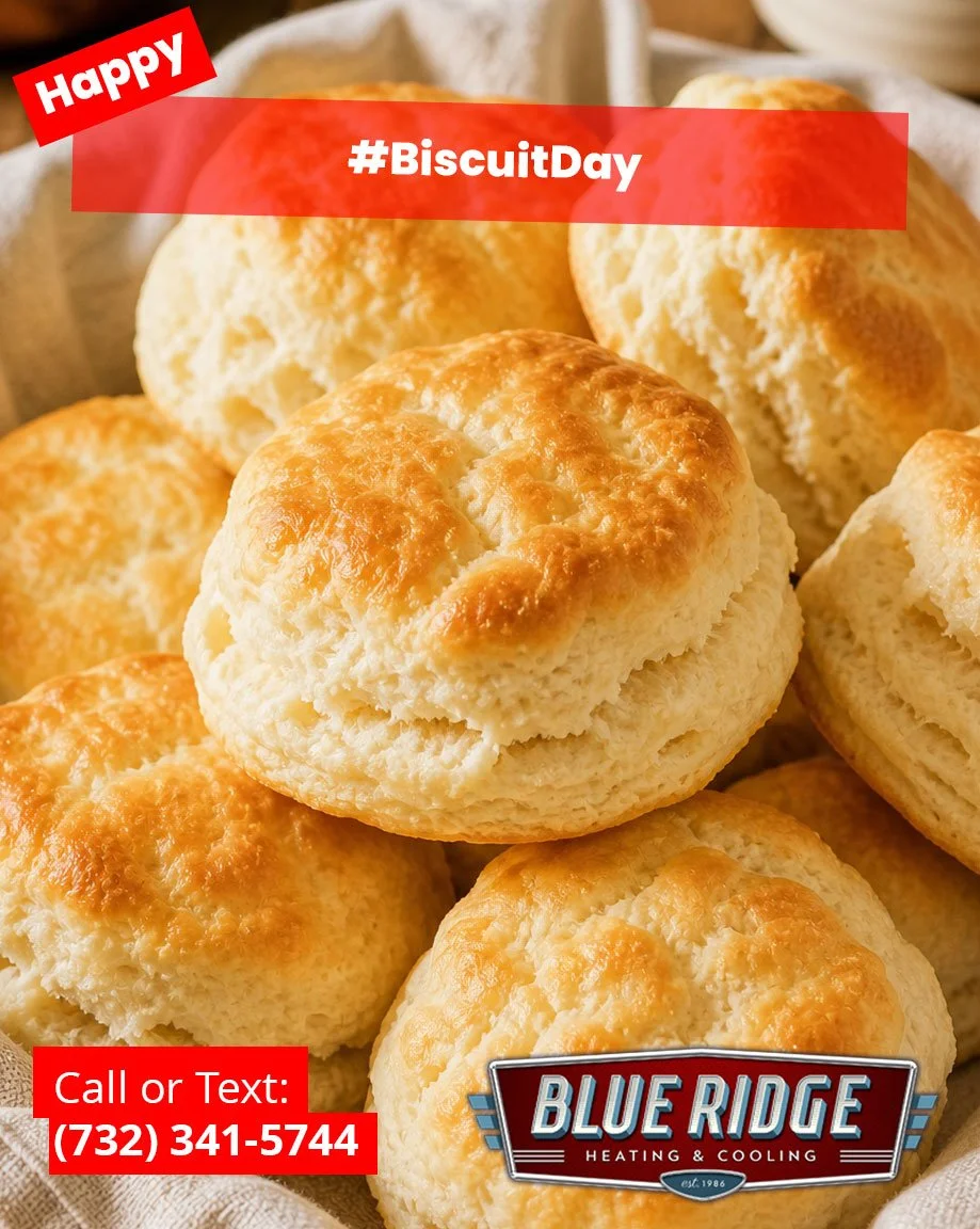 Warm mornings, cool afternoons&mdash;perfect balance 🧈
 #BiscuitDay #BalancedComfort