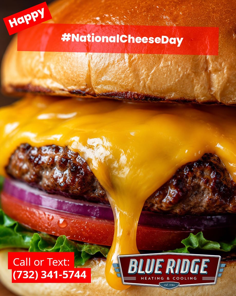 Nothing should melt this fast except cheese. 🧀☀️Stay cool, NJ! #NationalCheeseDay #BlueRidgeHVAC