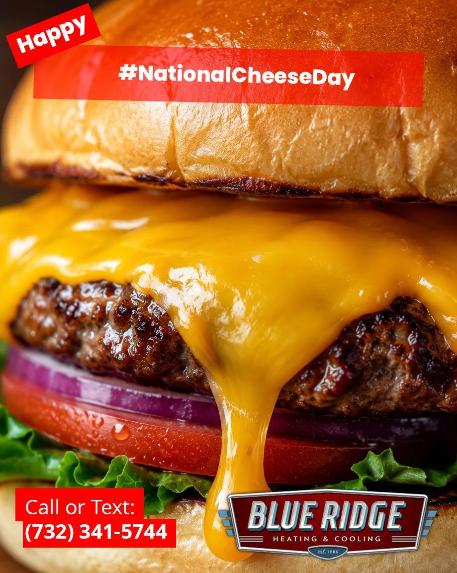 Nothing should melt this fast except cheese. 🧀☀️Stay cool, NJ! #NationalCheeseDay #BlueRidgeHVAC