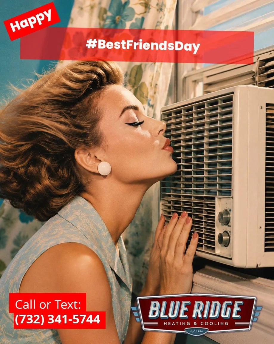 You + your air conditioner = best friends all summer long 🤝❄️#BestFriendsDay #BlueRidgeHVAC