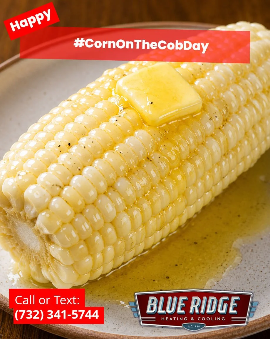 Summer cookouts are great. Sweating inside afterward? Not so much 🌽☀️#CornOnTheCobDay #BlueRidgeHVAC