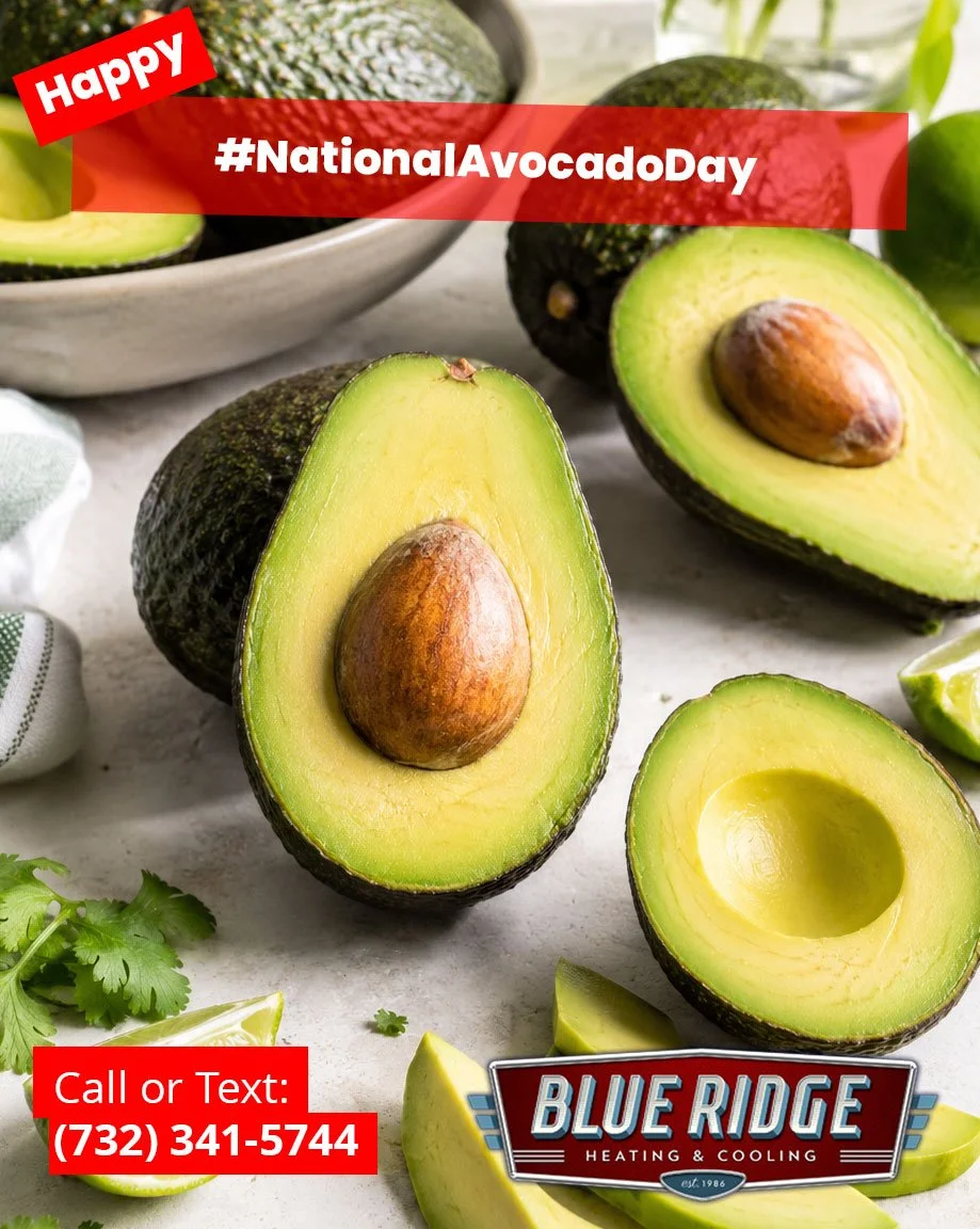 Just like a perfectly ripe avocado, home comfort is all about timing. Don't wait until your AC quits&mdash;schedule maintenance before small problems become big ones! #NationalAvocadoDay #NJHVAC