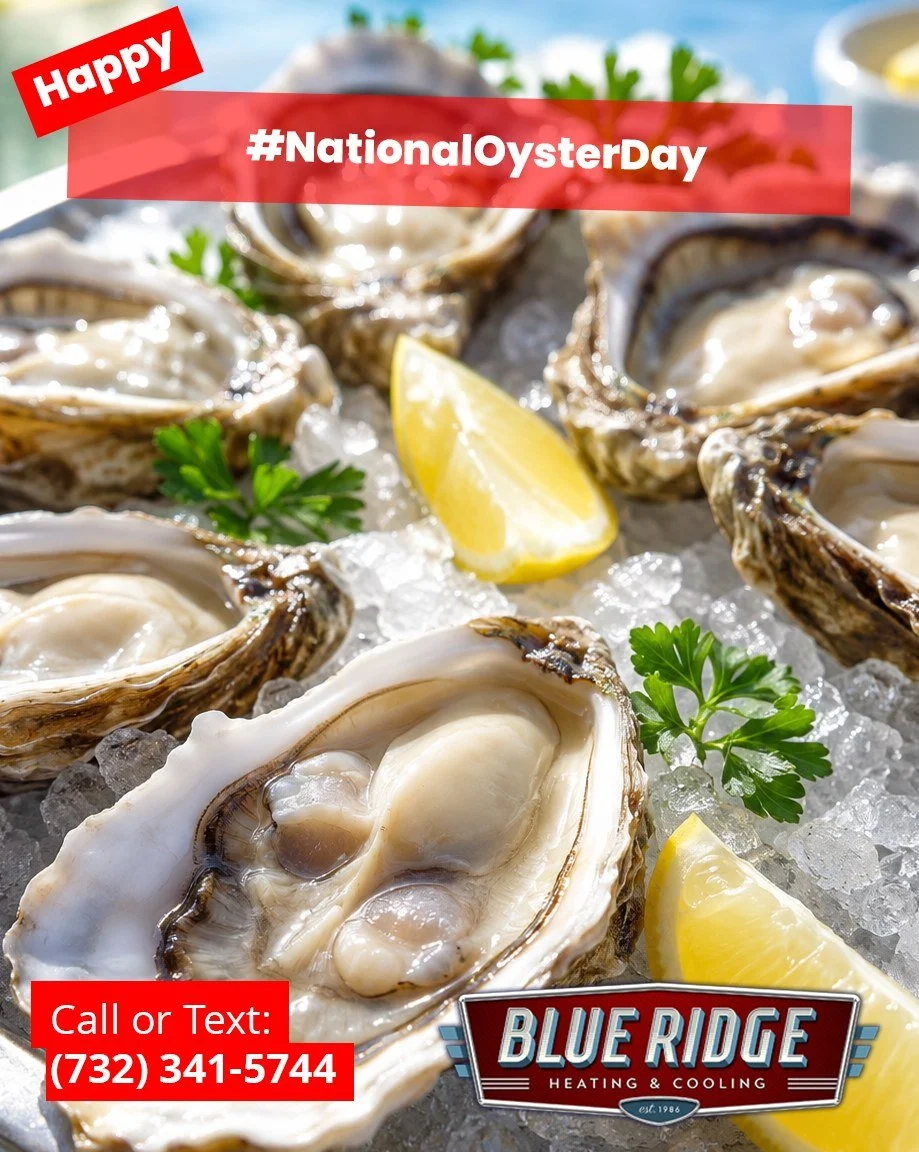Whether you enjoy them raw, grilled or fried, oysters are best served without a side of indoor humidity. Blue Ridge can help keep your home cool and comfortable. #NationalOysterDay #BlueRidgeHVAC #IndoorComfort #NJHVAC