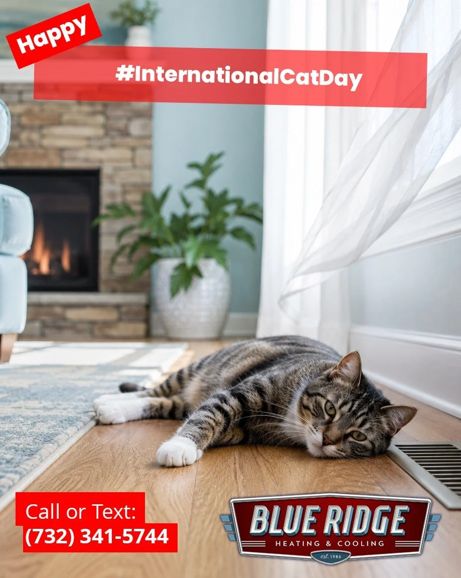 Cats always seem to find the coolest spot in the house. Make sure every room is comfortable with reliable AC from Blue Ridge Heating &amp; Cooling. #InternationalCatDay #BlueRidgeHVAC #CatLovers #NJHVAC