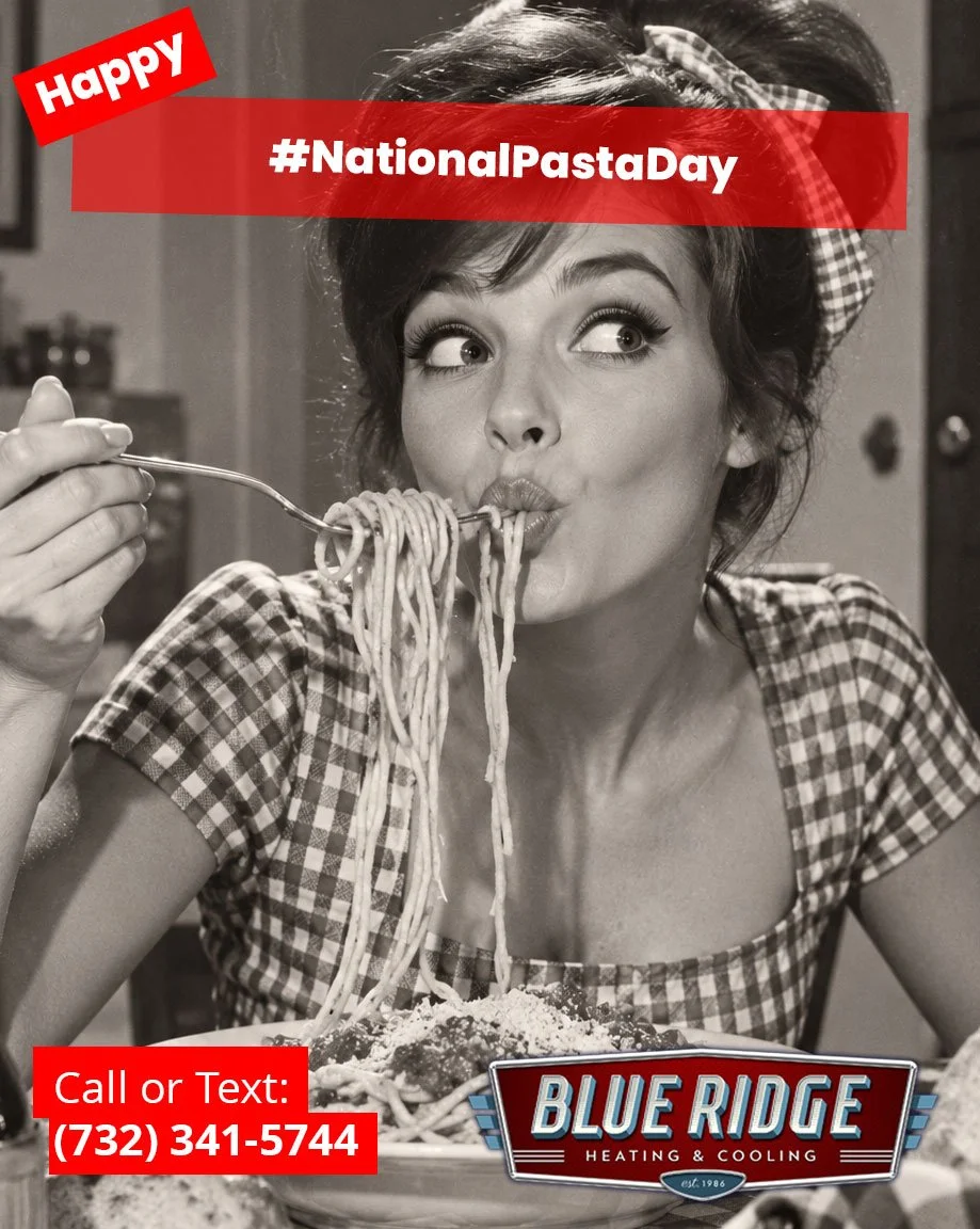Spaghetti, ravioli, lasagna, fettuccine&hellip;Today we're willing to overlook the fact that none of them have anything to do with HVAC. Happy National Pasta Day!
#NationalPastaDay #BlueRidgeHVAC