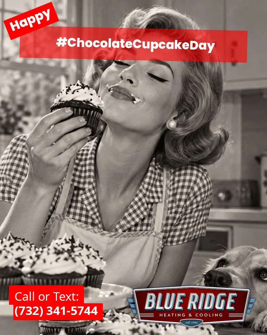 There are complicated problems in life. Choosing whether to eat a chocolate cupcake isn't one of them. Happy National Chocolate Cupcake Day!
#ChocolateCupcakeDay #BlueRidgeHVAC