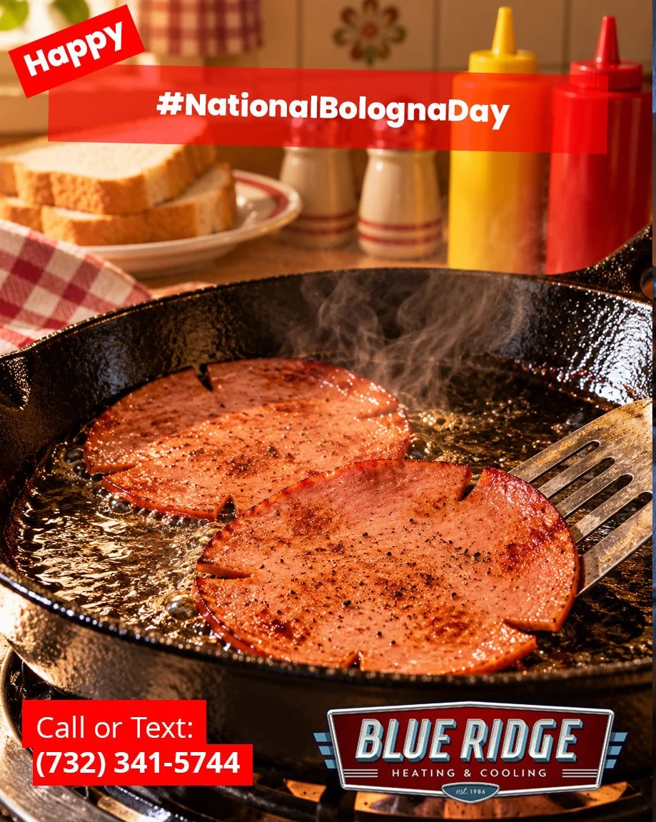 Somewhere in New Jersey right now, somebody is frying a slice of bologna in a pan. And honestly&hellip;we respect it. Happy National Bologna Day!
#NationalBolognaDay #BlueRidgeHVAC #NewJersey