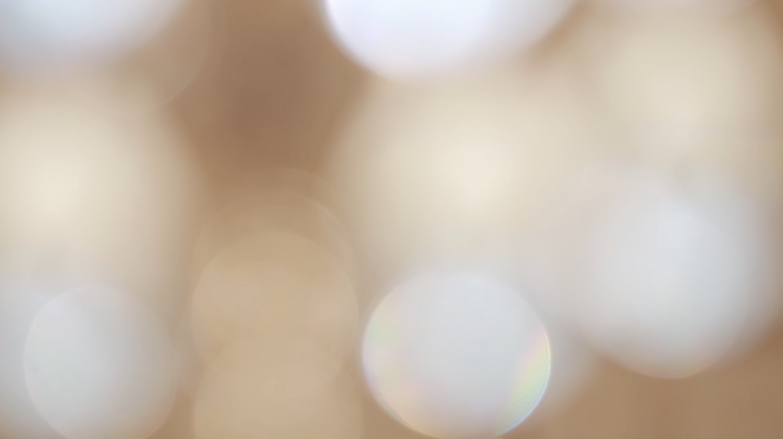 Screen Shot 2024-01-23 at 12.45.05 PM.png