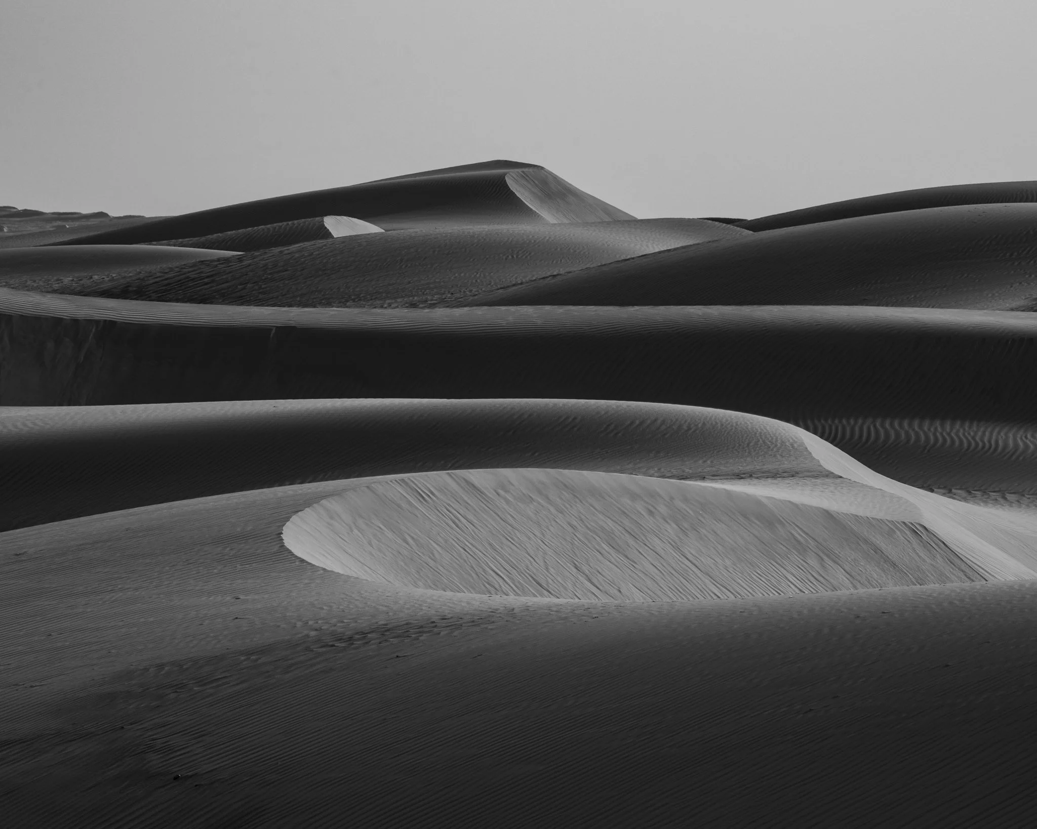 810_9099.jpg