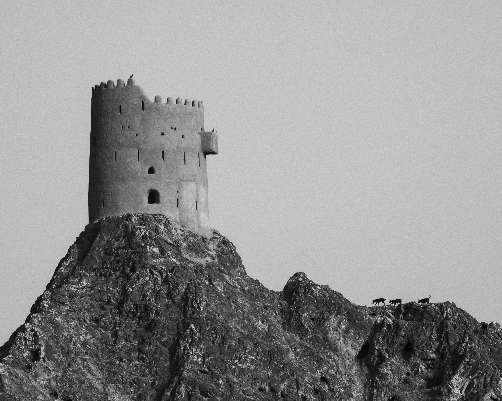 DSC_7095.jpg