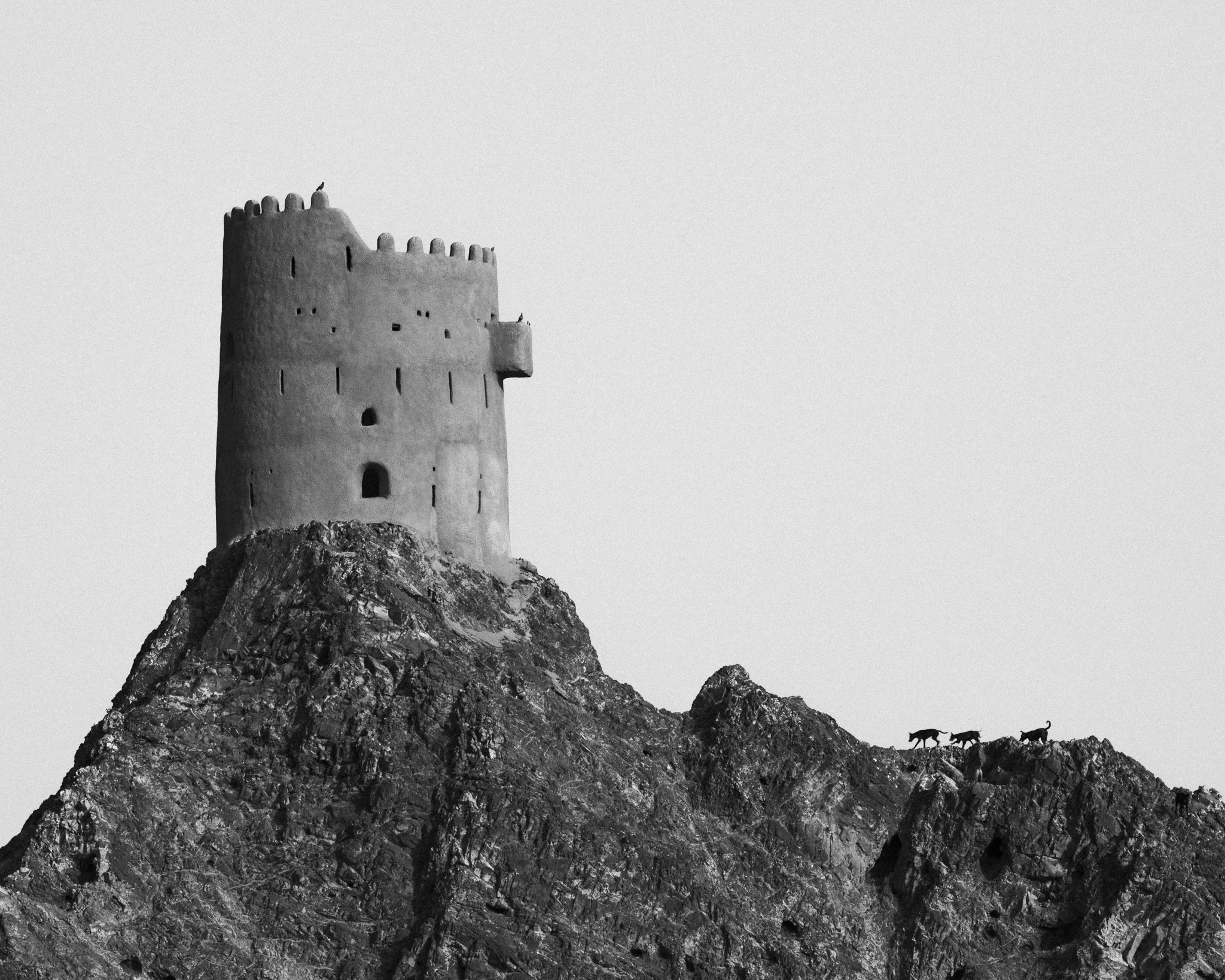 DSC_7095-3.jpg