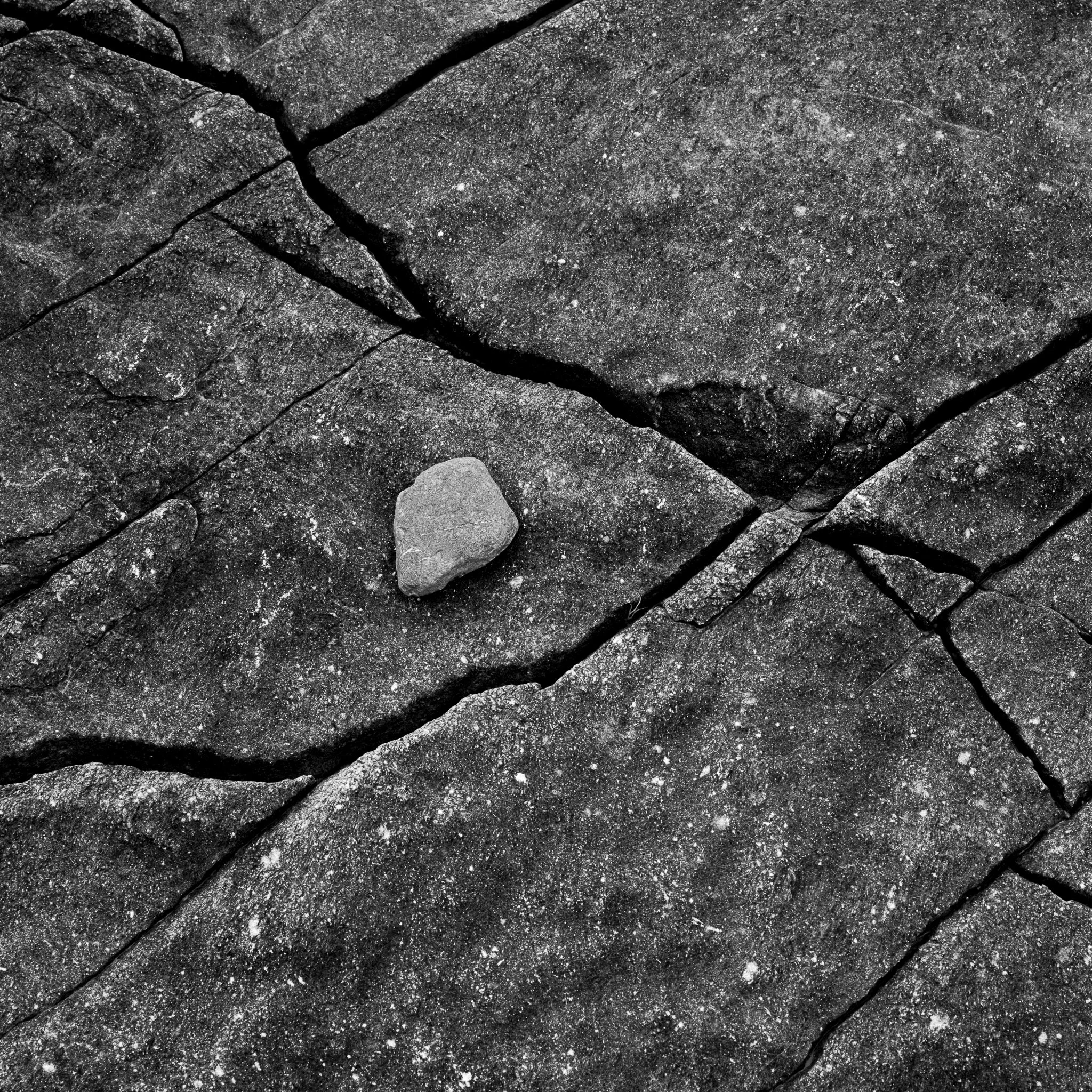 810_6244.jpg