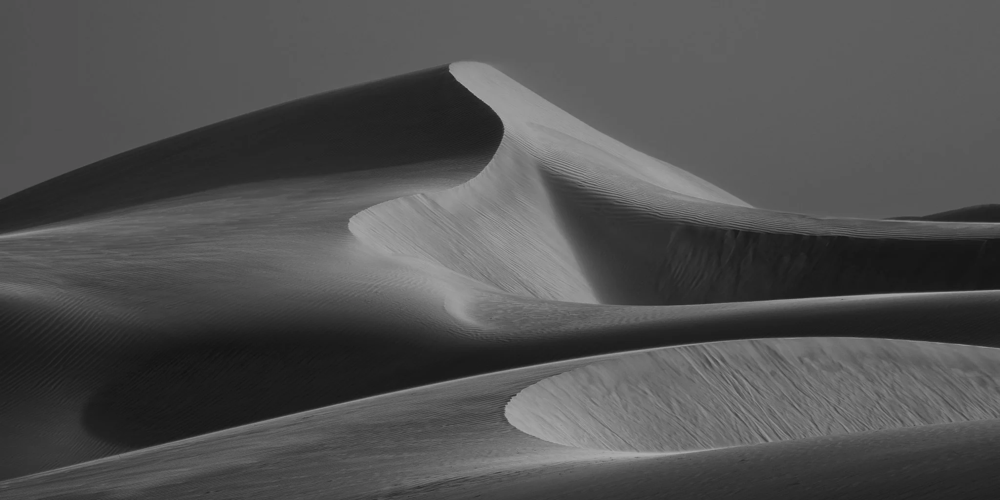 810_9106.jpg