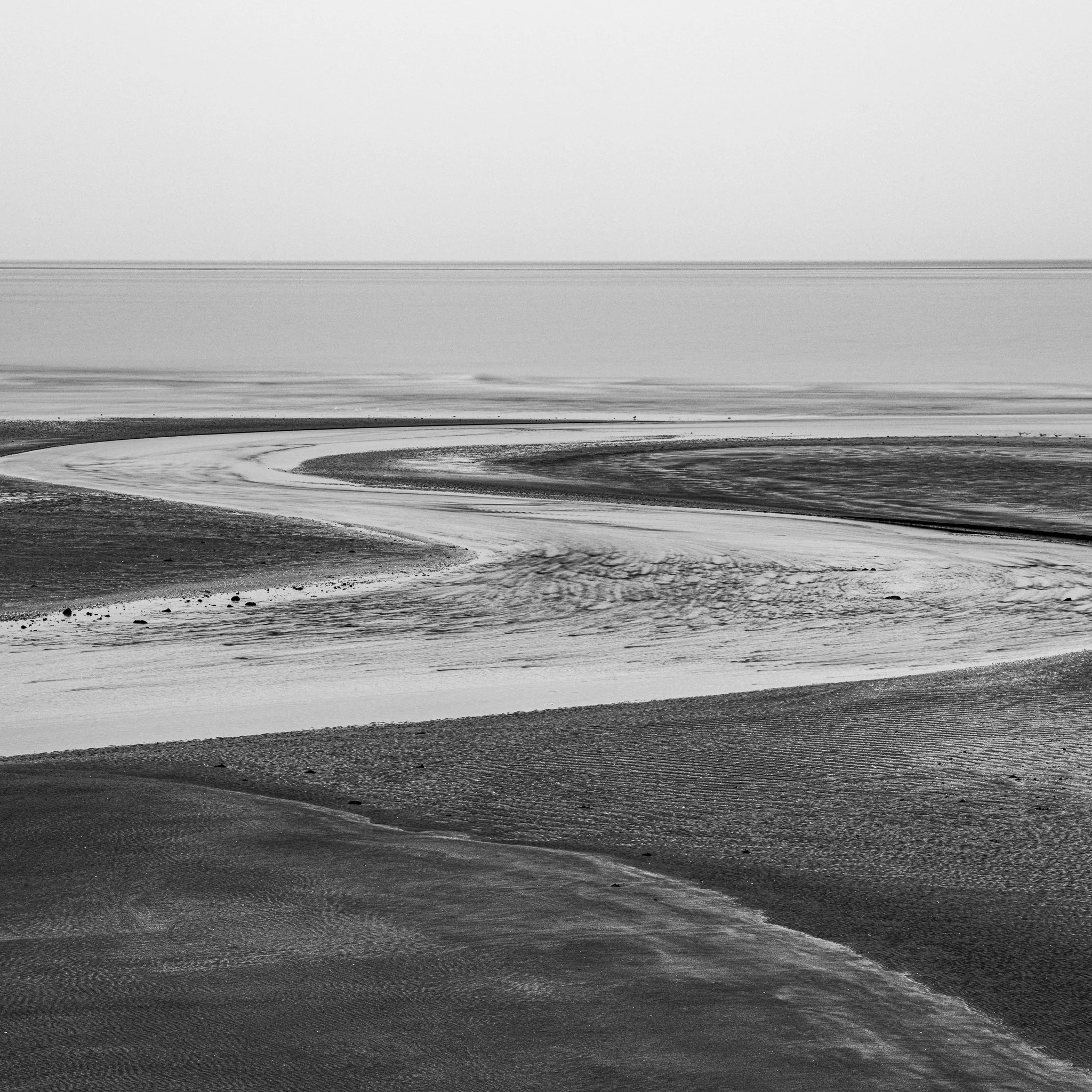 _DSC0788-2.jpg