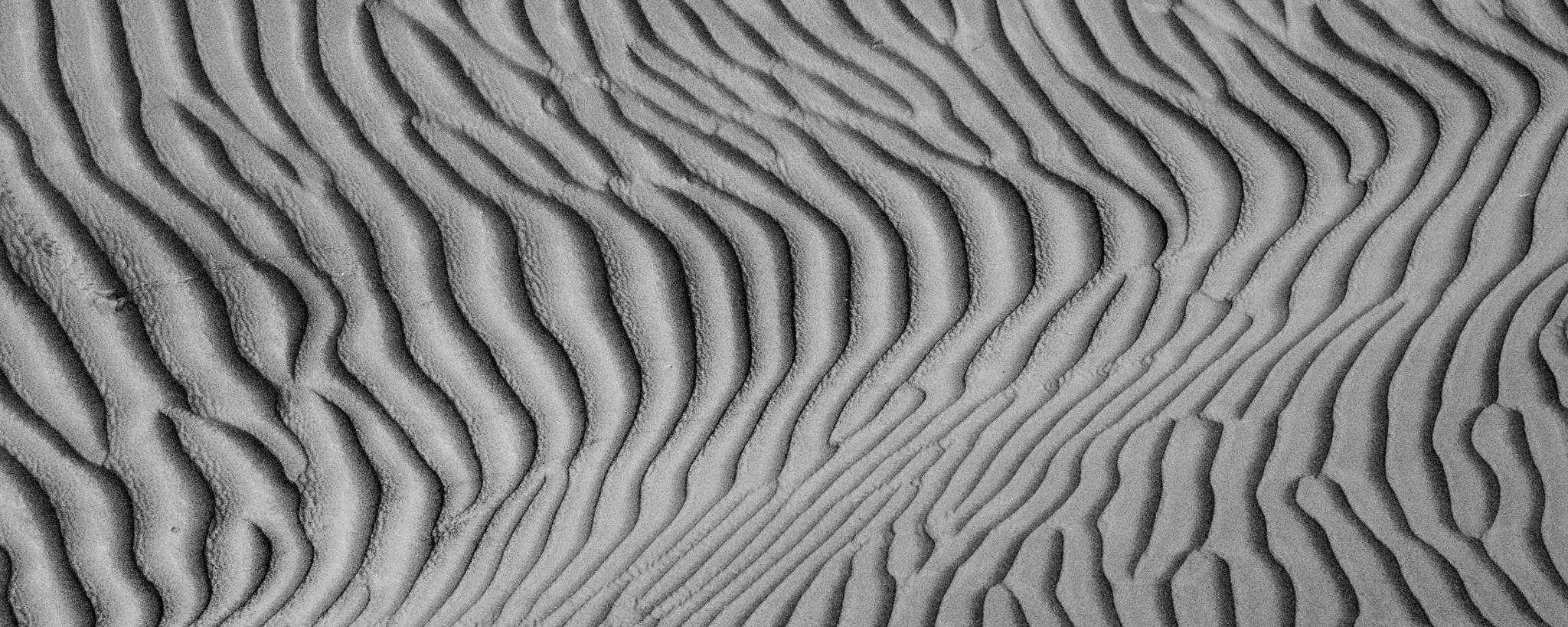 810_4120.jpg