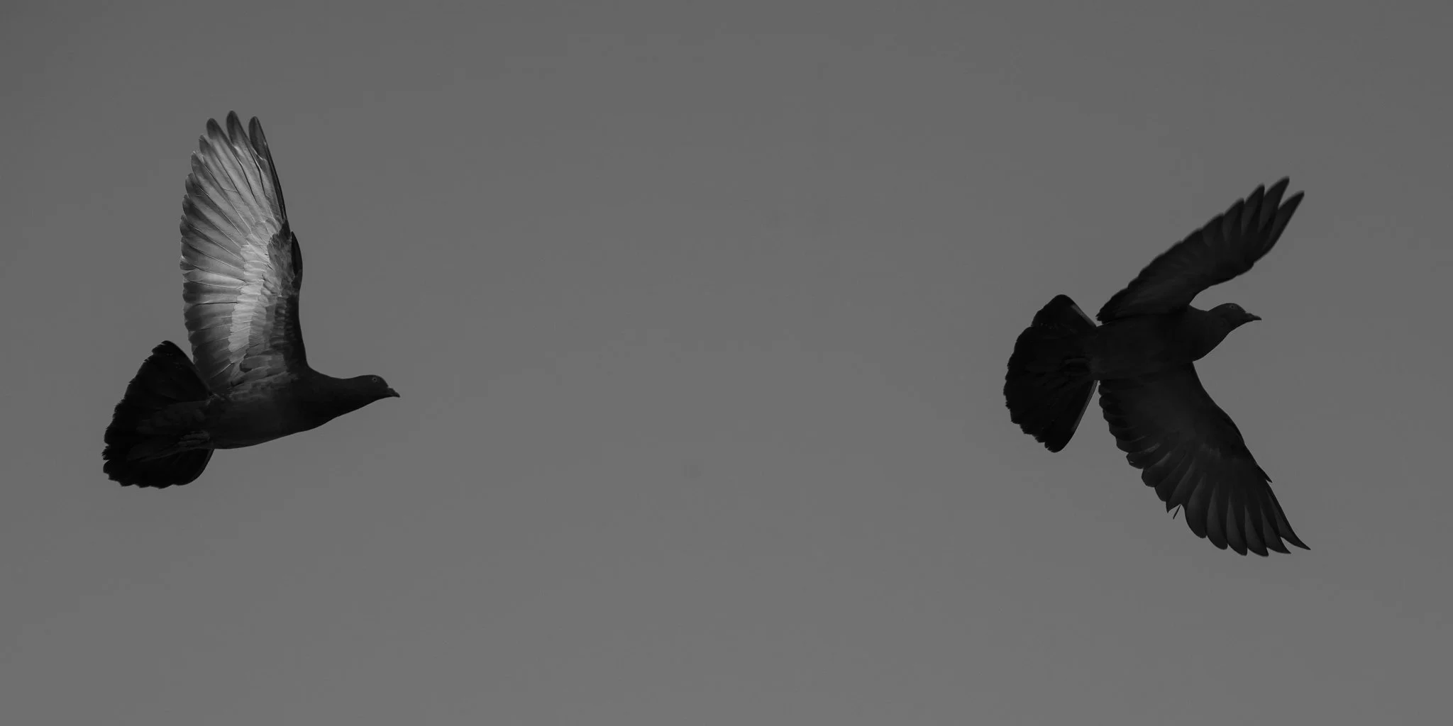 810_3203.jpg
