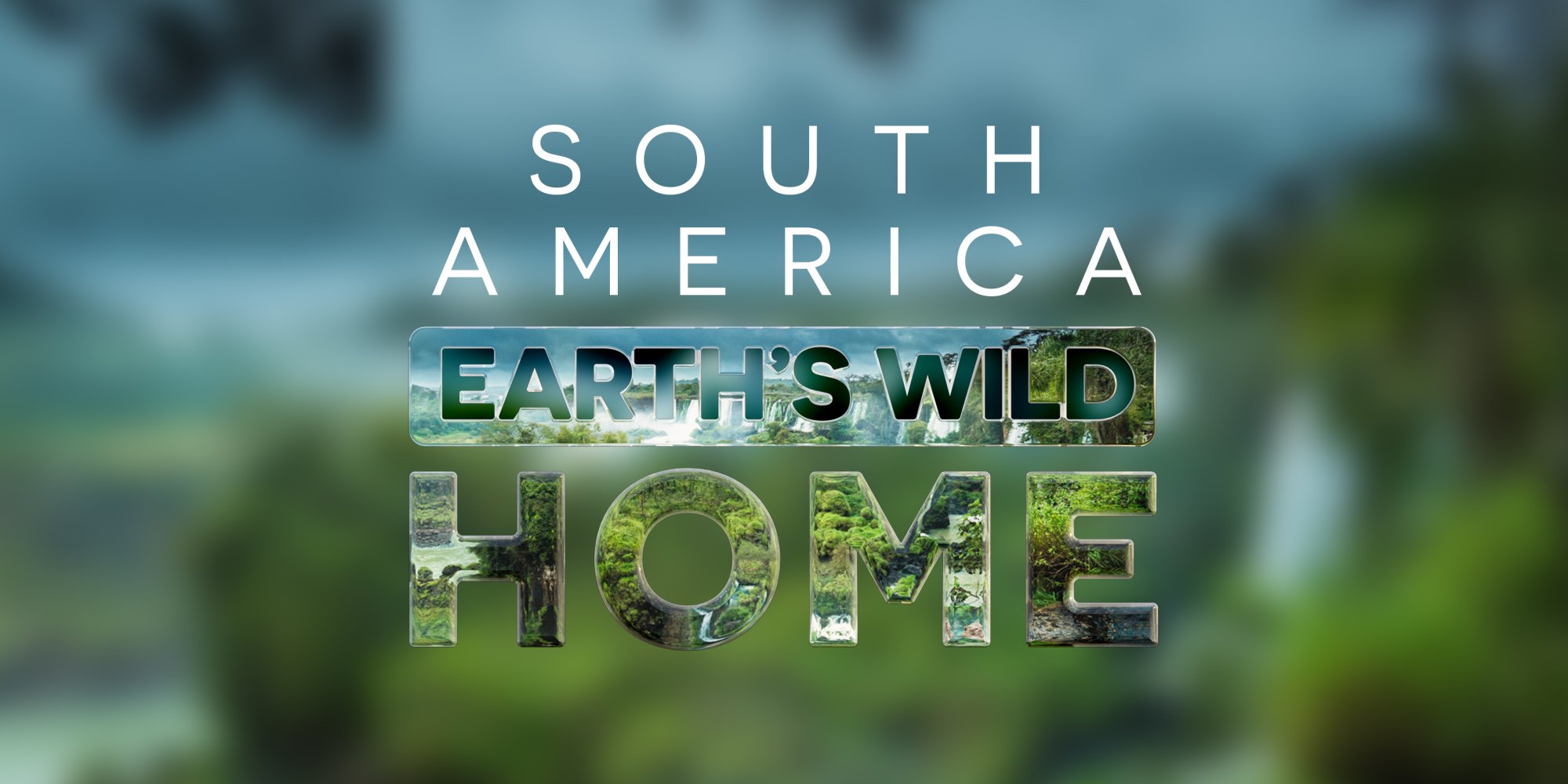 supporting image 04.jpg