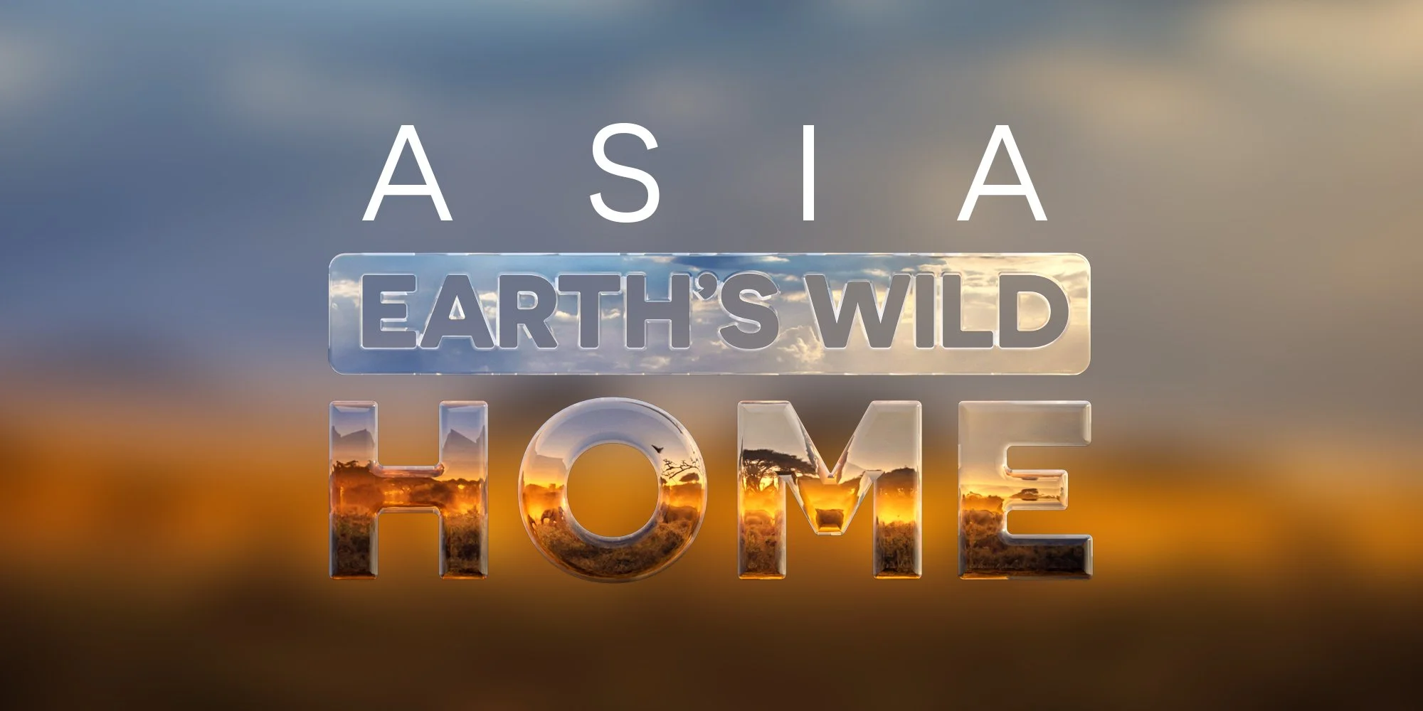 supporting image 01.jpg