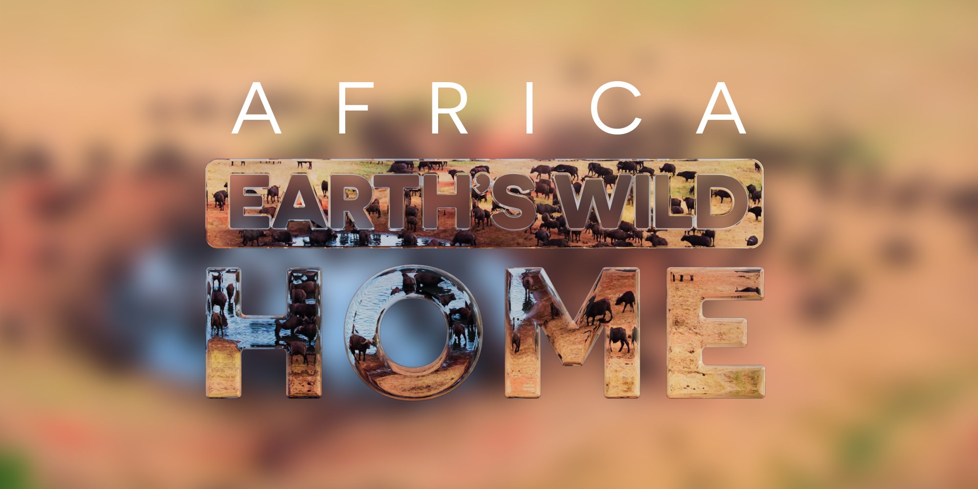 supporting image 02.jpg