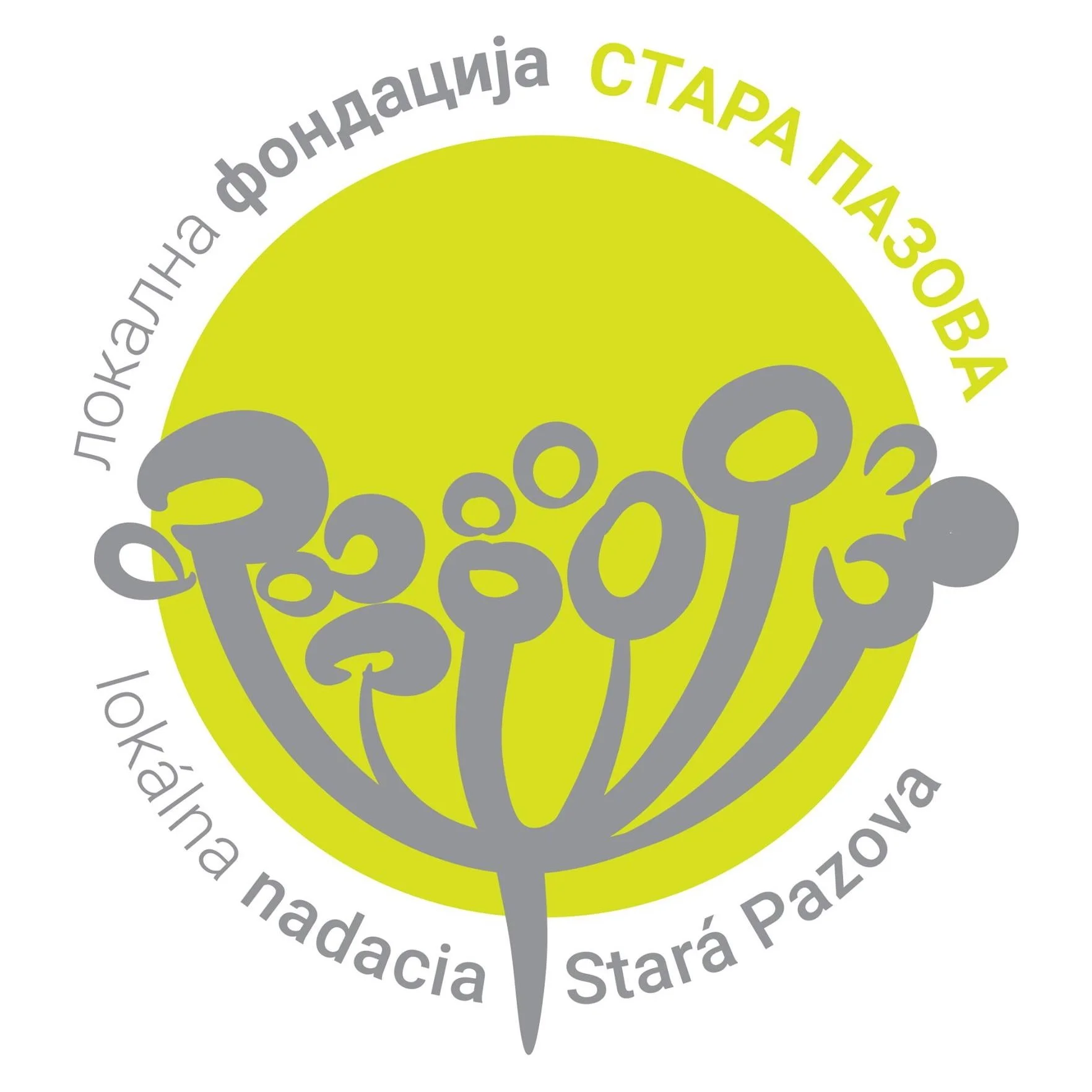 logo ЛФСТП.jpg